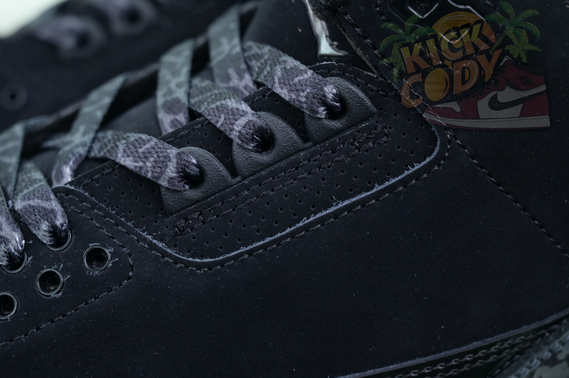 Jordan Air Jordan3“Black Cat”