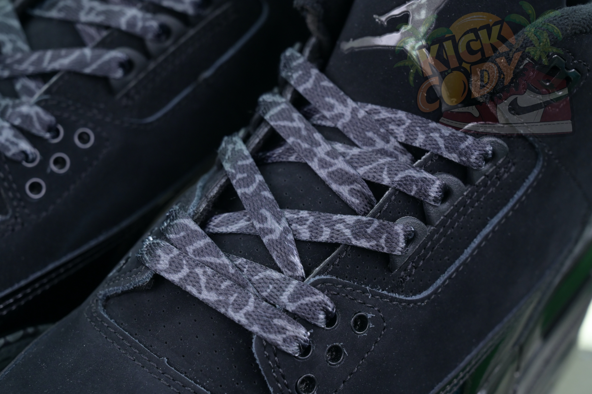 Jordan Air Jordan3“Black Cat”