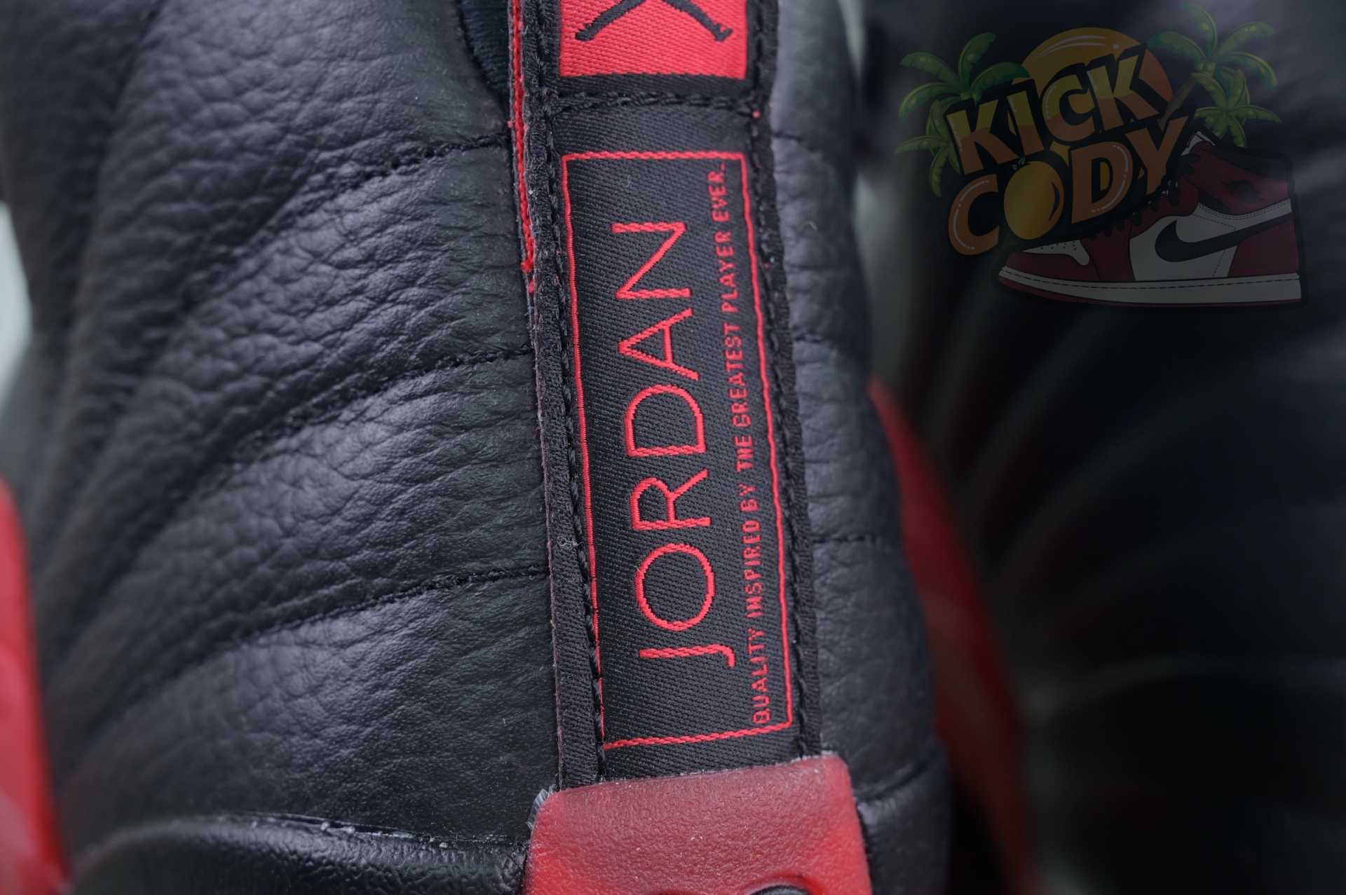 Air Jordan 12 Flu Game 2025