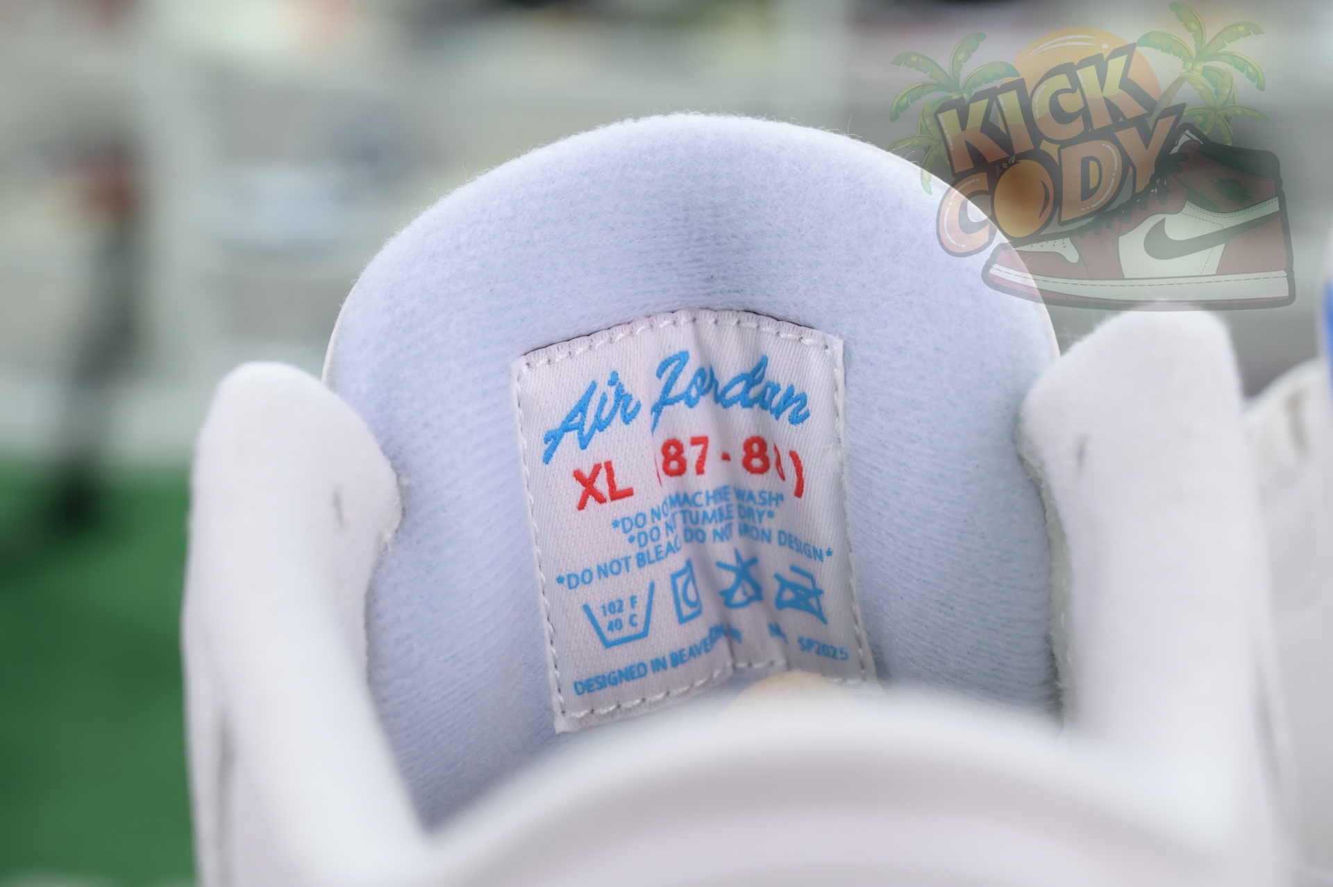 Jordan Air Jordan 3“Lucky Shorts”