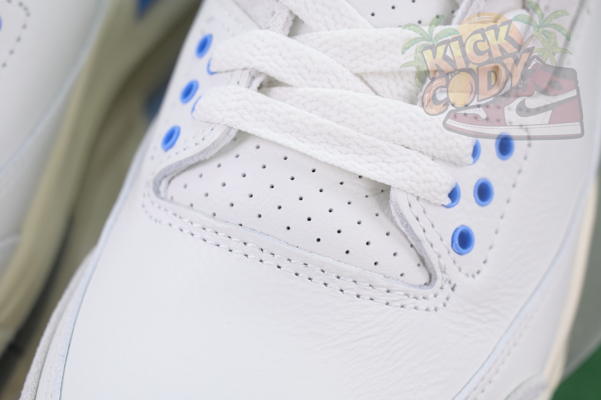 Jordan Air Jordan 3“Lucky Shorts”