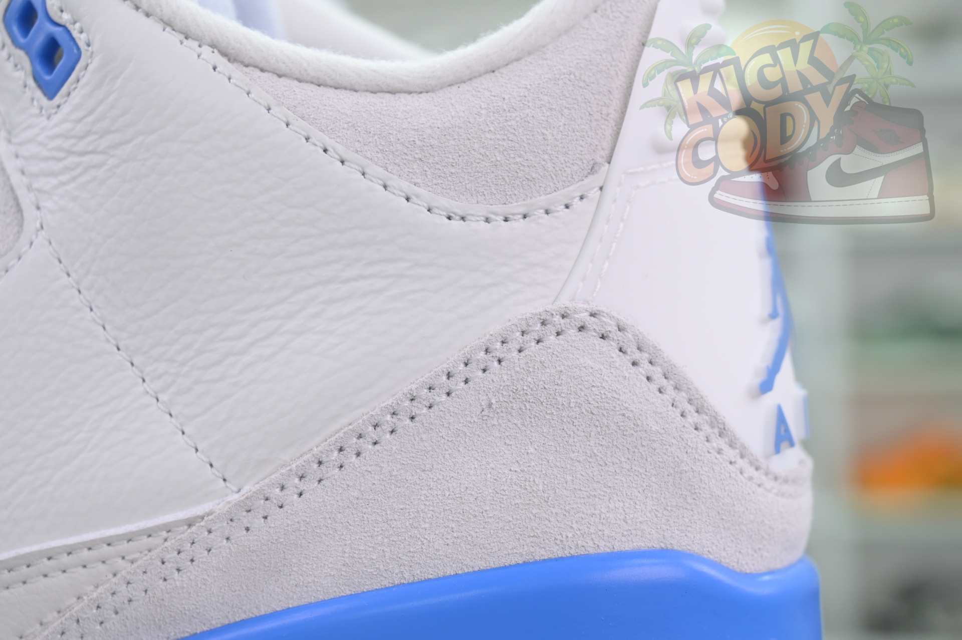 Jordan Air Jordan 3“Lucky Shorts”