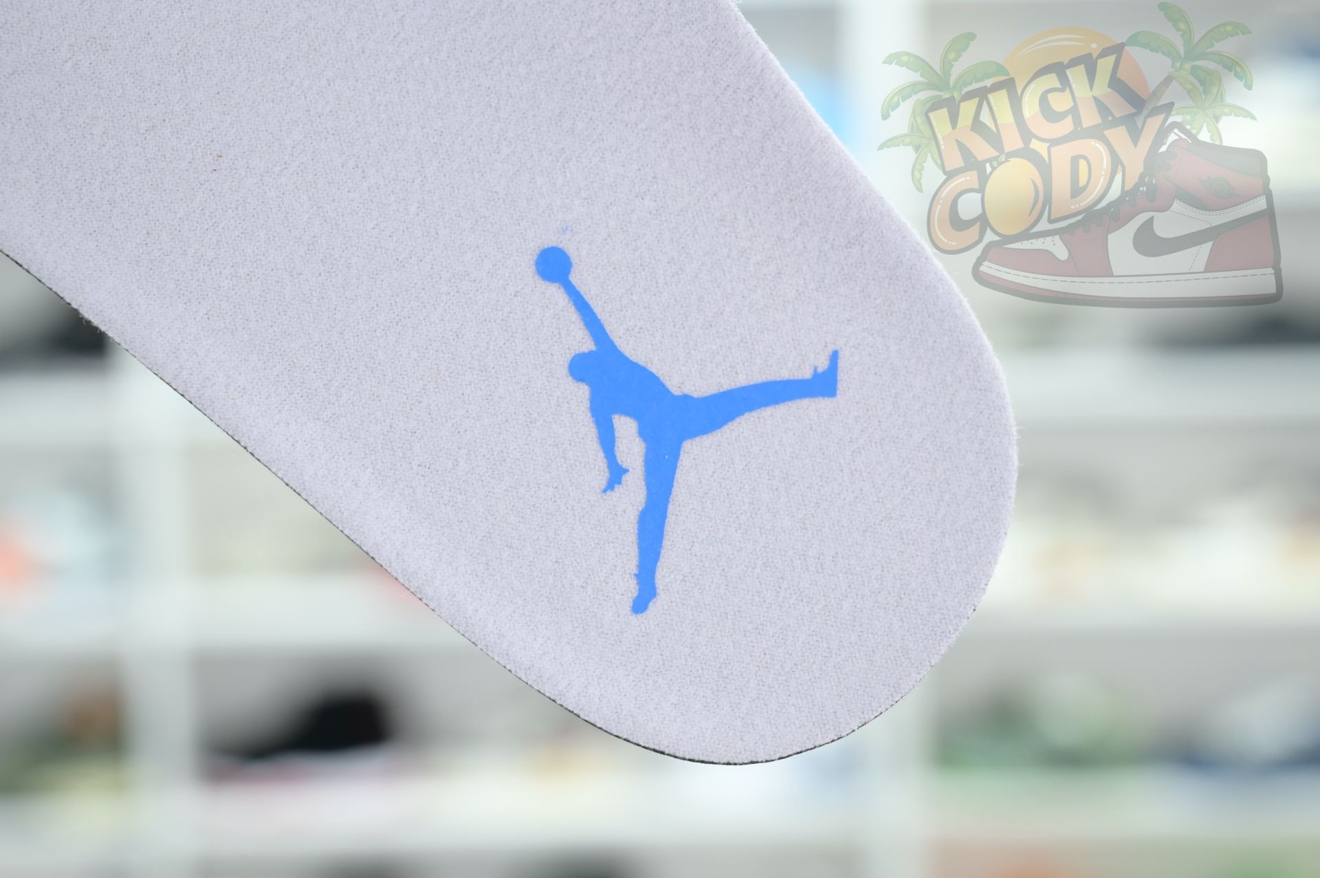 Jordan Air Jordan 3“Lucky Shorts”