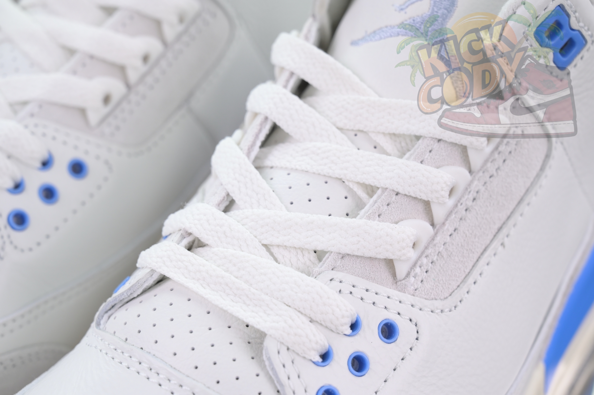 Jordan Air Jordan 3“Lucky Shorts”