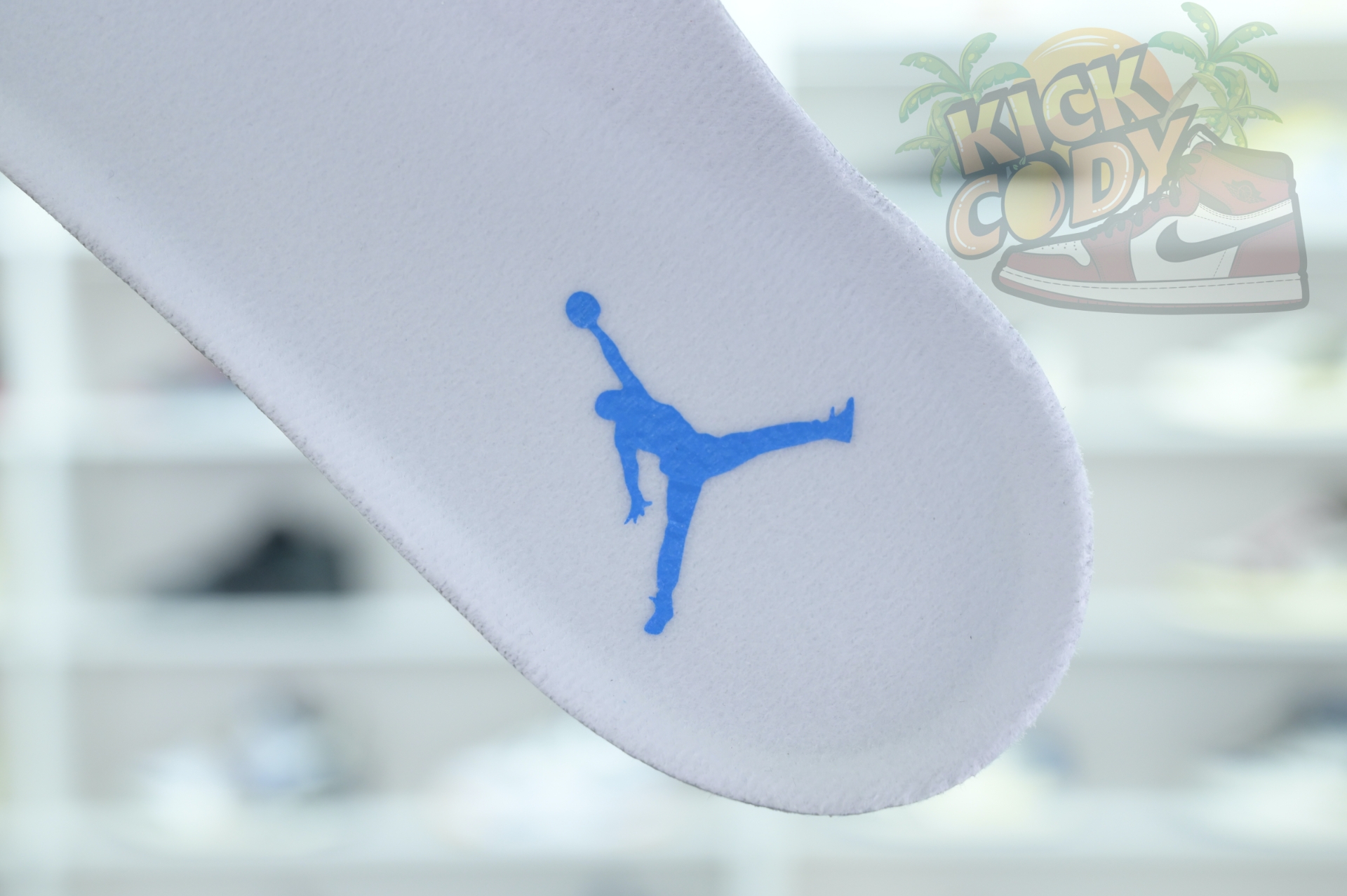 Jordan Air Jordan 17