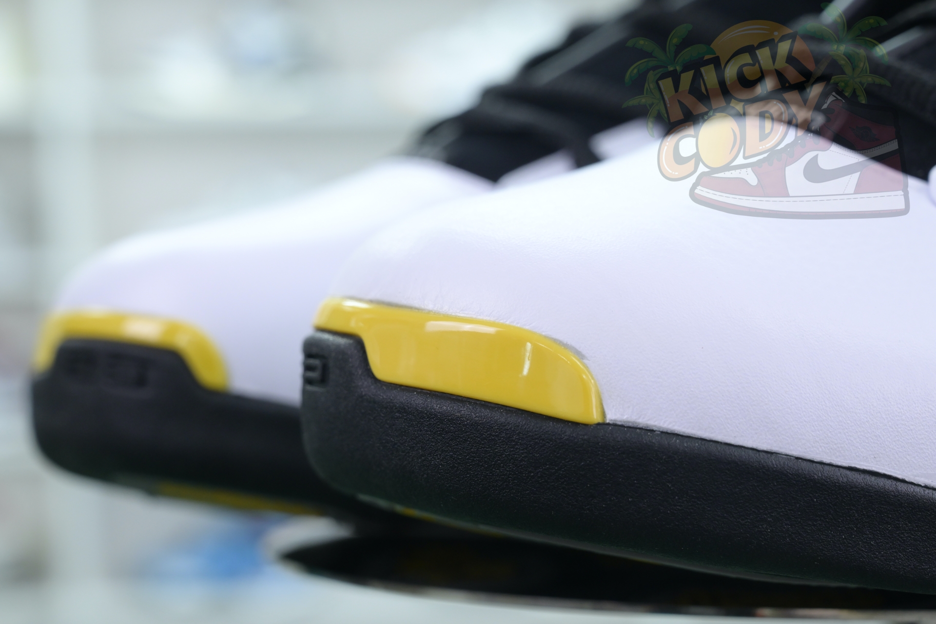 Jordan Air Jordan 17 Low 