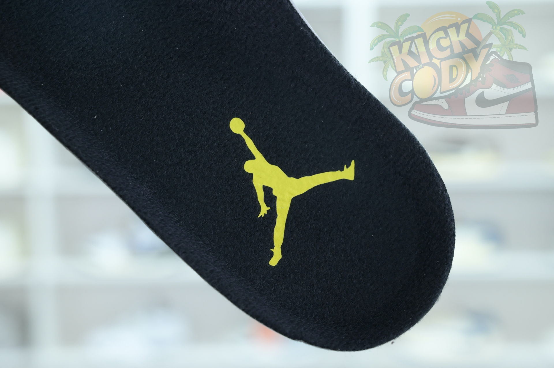 Jordan Air Jordan 17 Low 