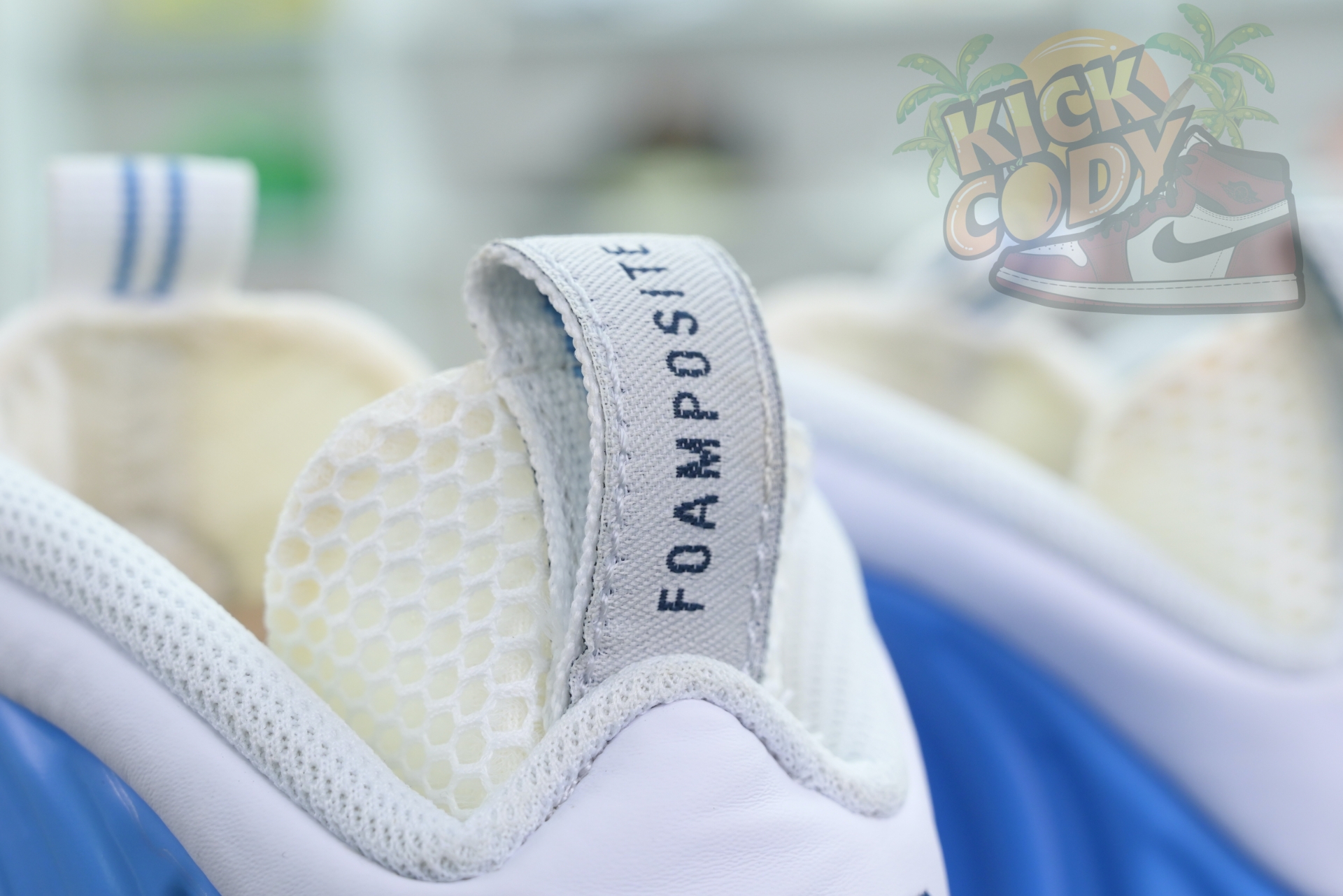 Nike Foamposite Pro University Blue