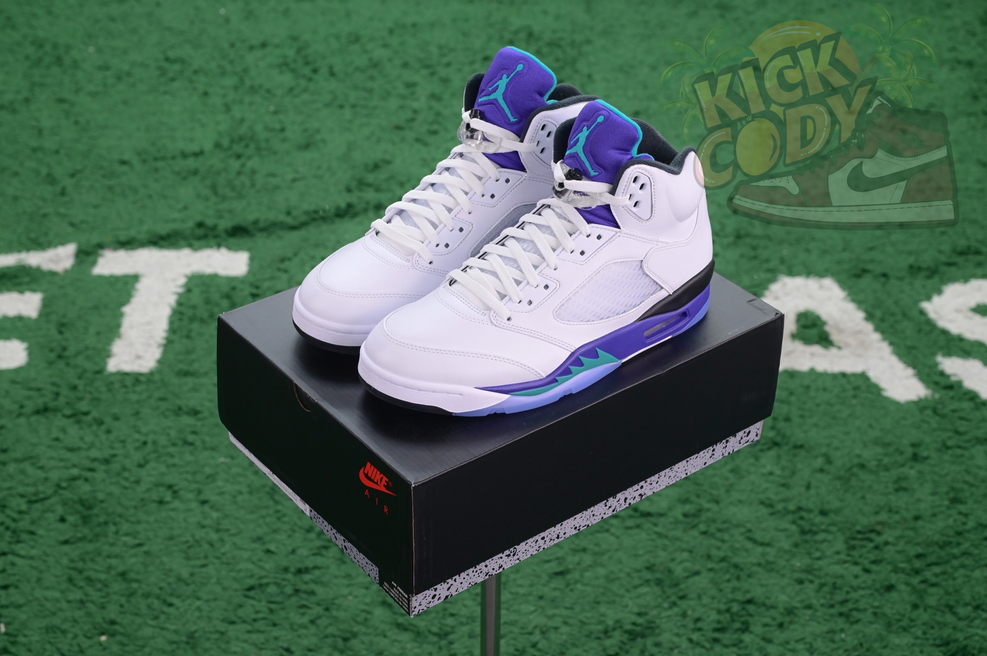 Jordan Air Jordan 5 OG“Grape”
