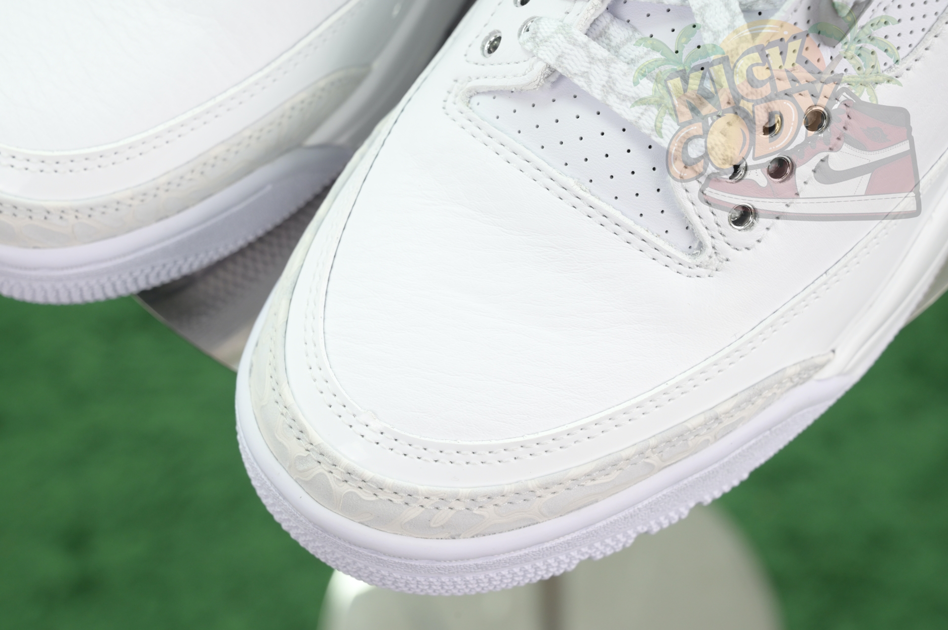 Jordan Air Jordan 3“Pure Money”