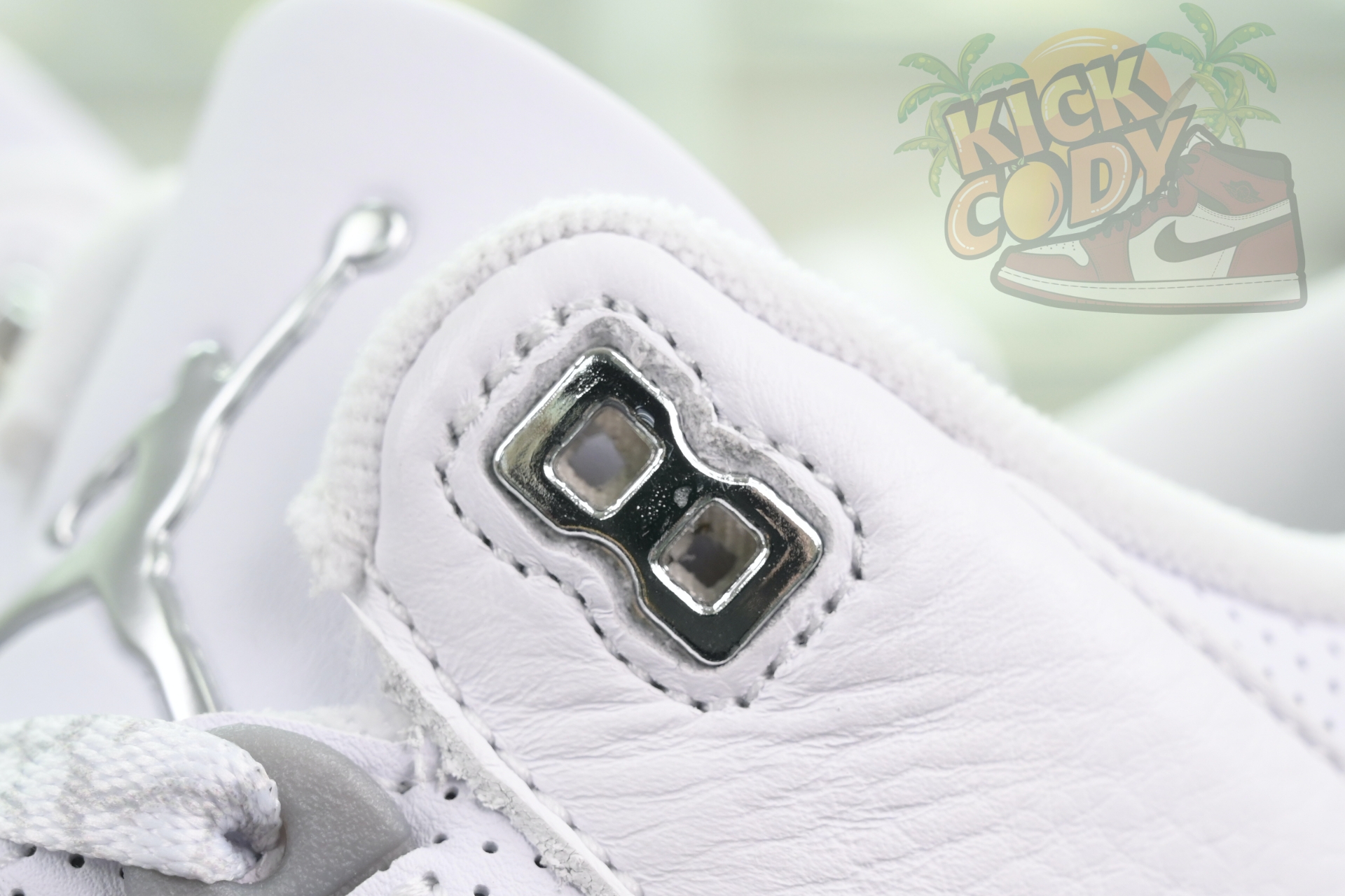 Jordan Air Jordan 3“Pure Money”