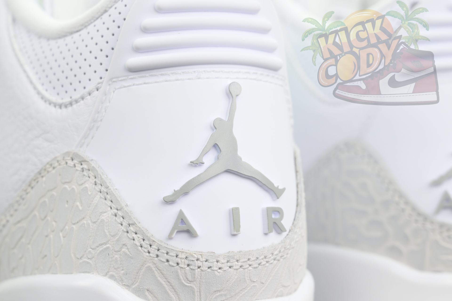 Jordan Air Jordan 3“Pure Money”