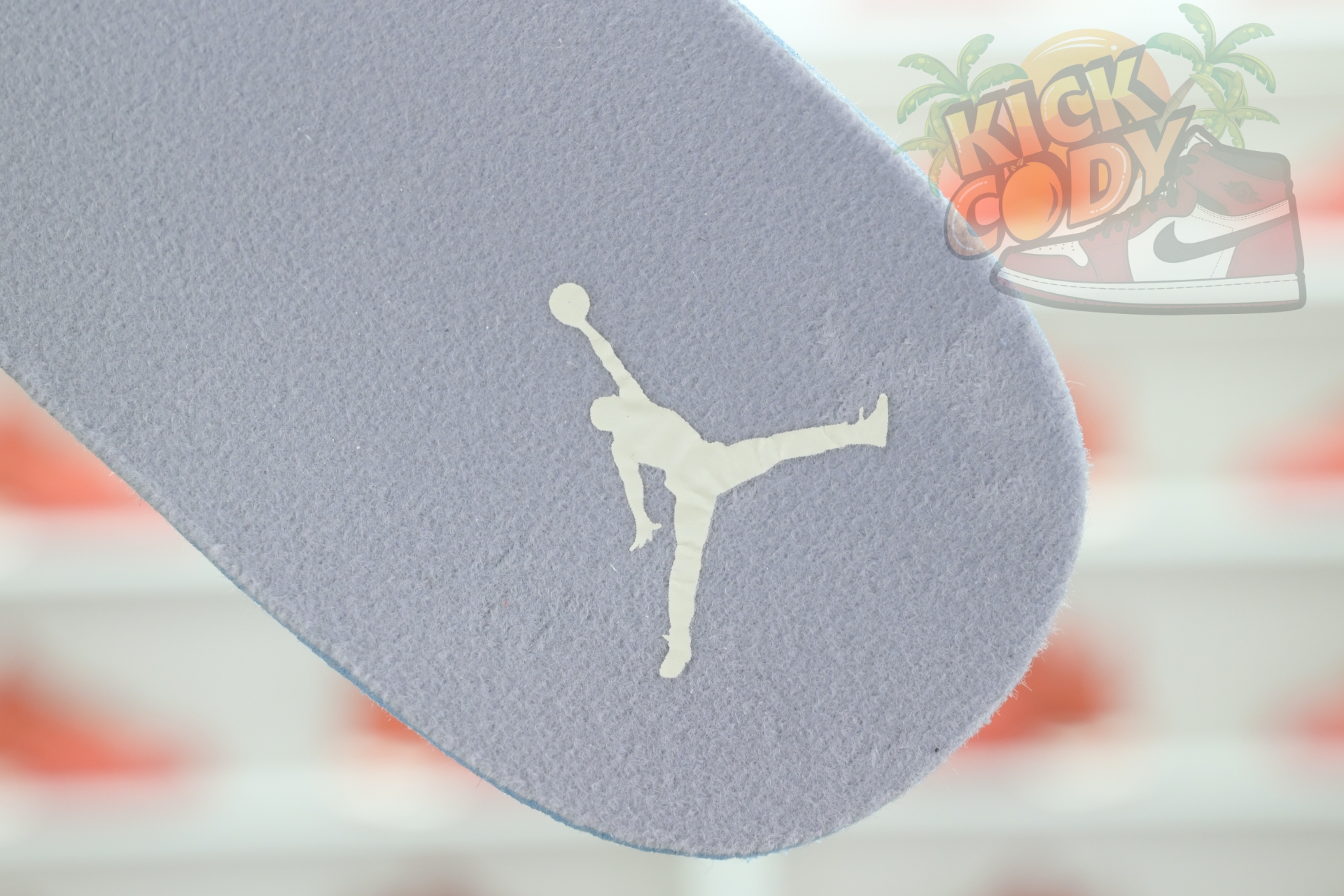 Jordan Air Jordan3“Sail” CK9246-100