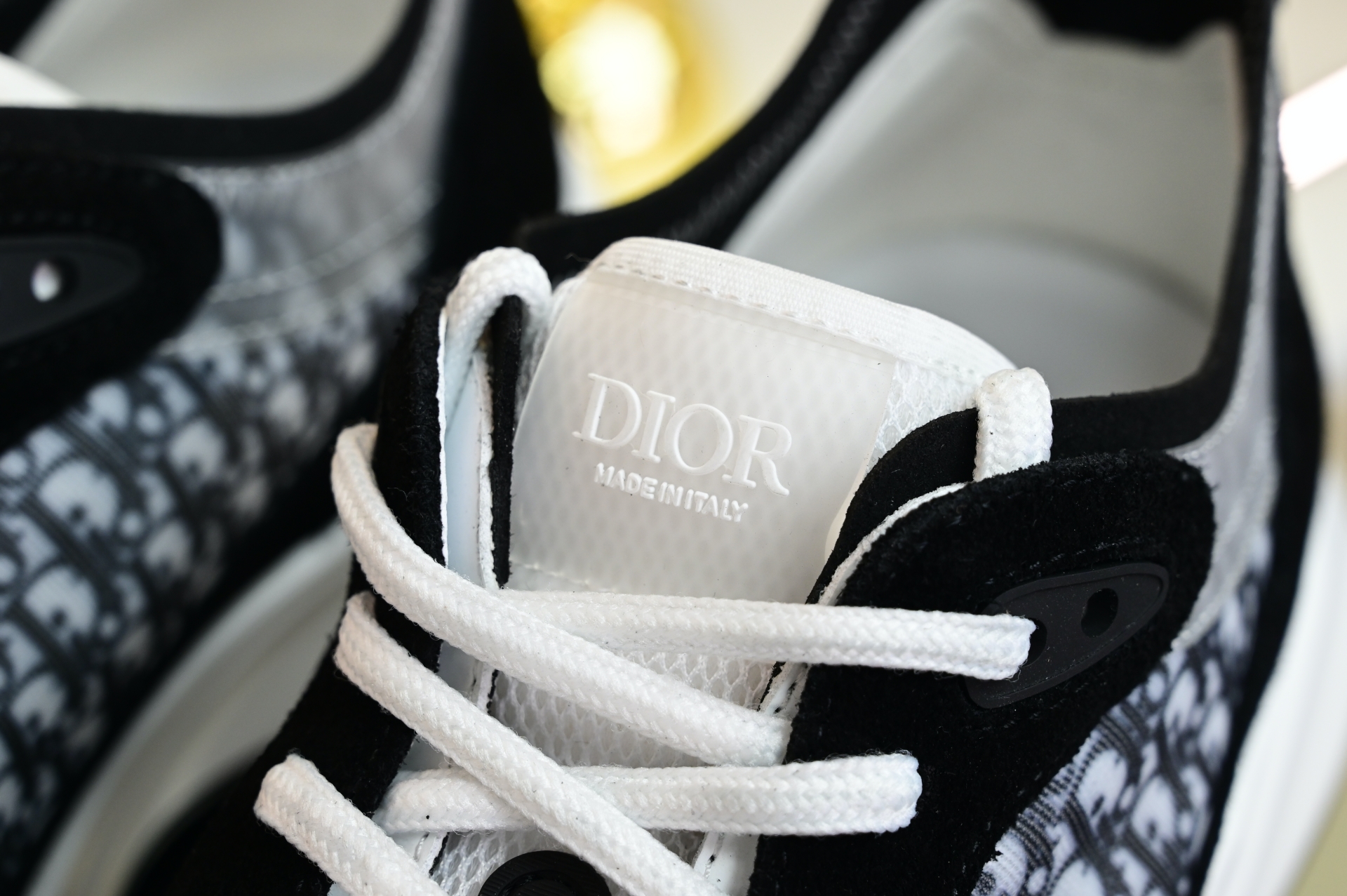 DIOR B25