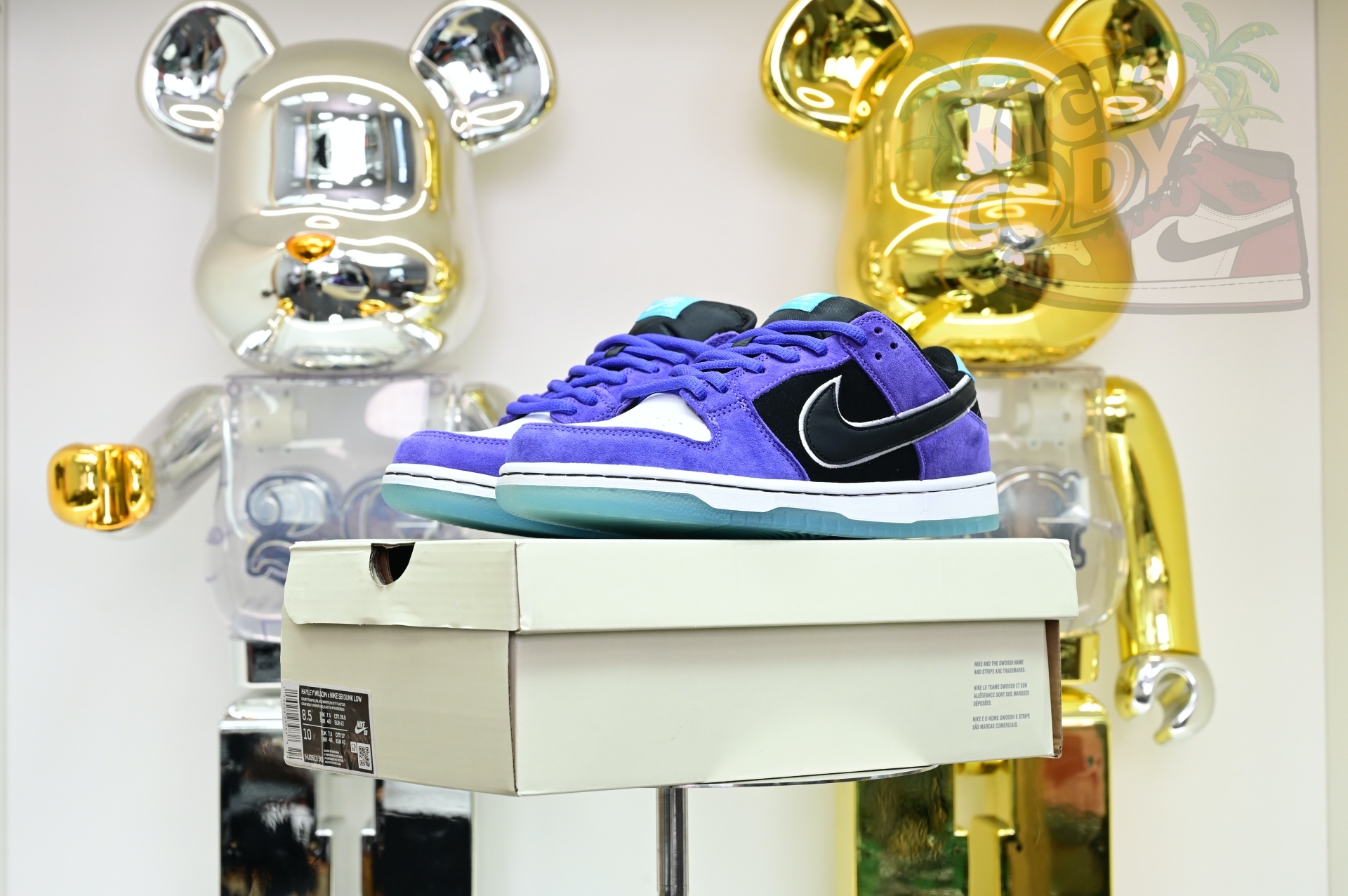 Hayley Wilson x Nike Dunk SB DUNK LOW PRO HJ0513-500
