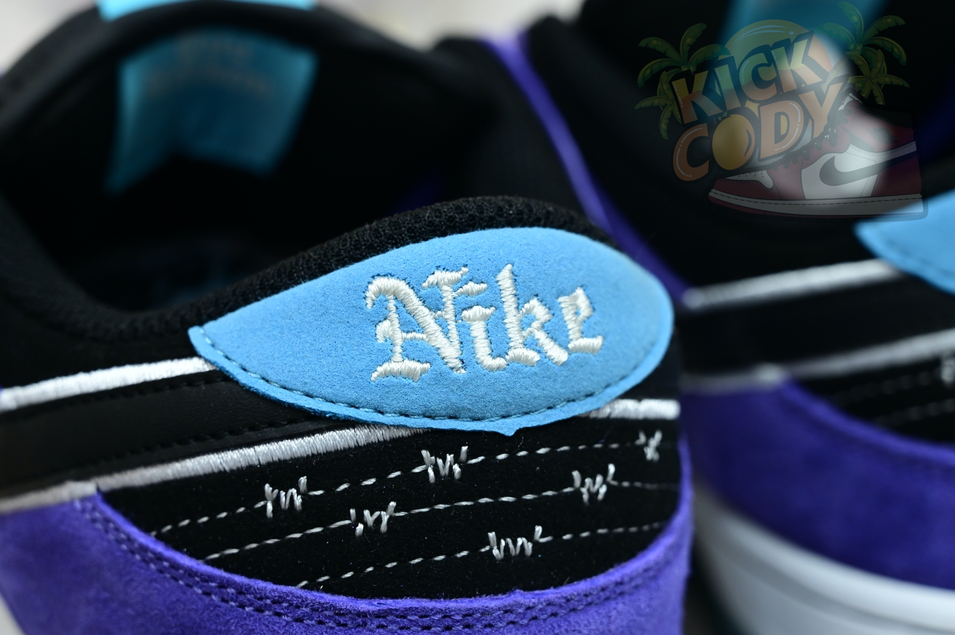Hayley Wilson x Nike Dunk SB DUNK LOW PRO  HJ0513-500