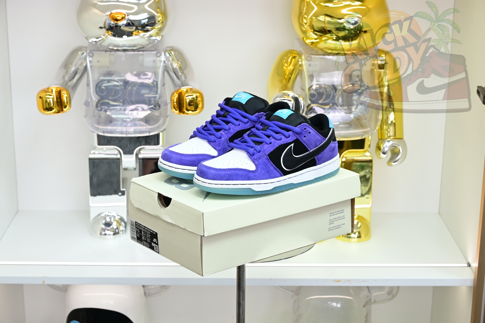Hayley Wilson x Nike Dunk SB DUNK LOW PRO  HJ0513-500