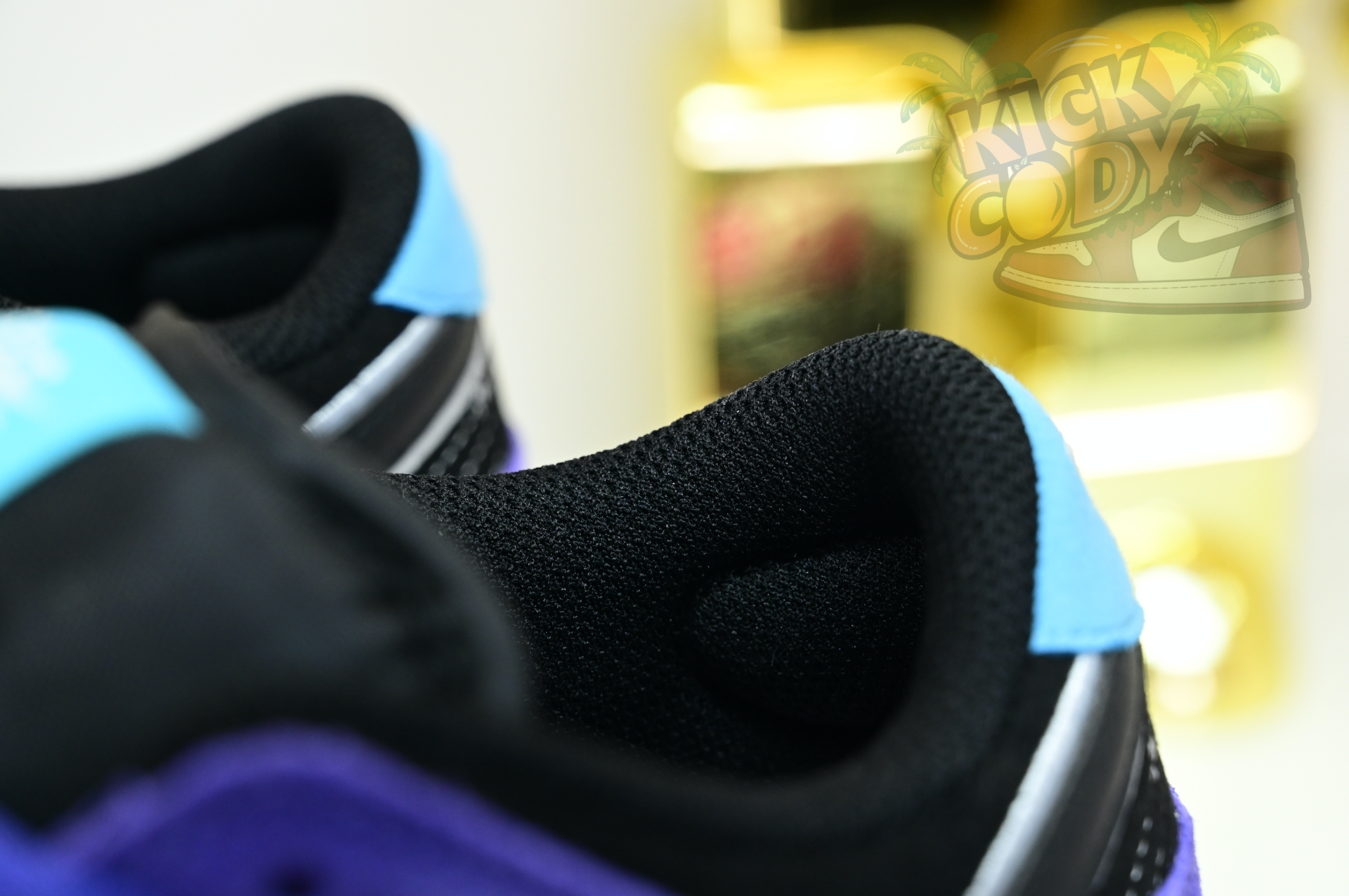 Hayley Wilson x Nike Dunk SB DUNK LOW PRO  HJ0513-500