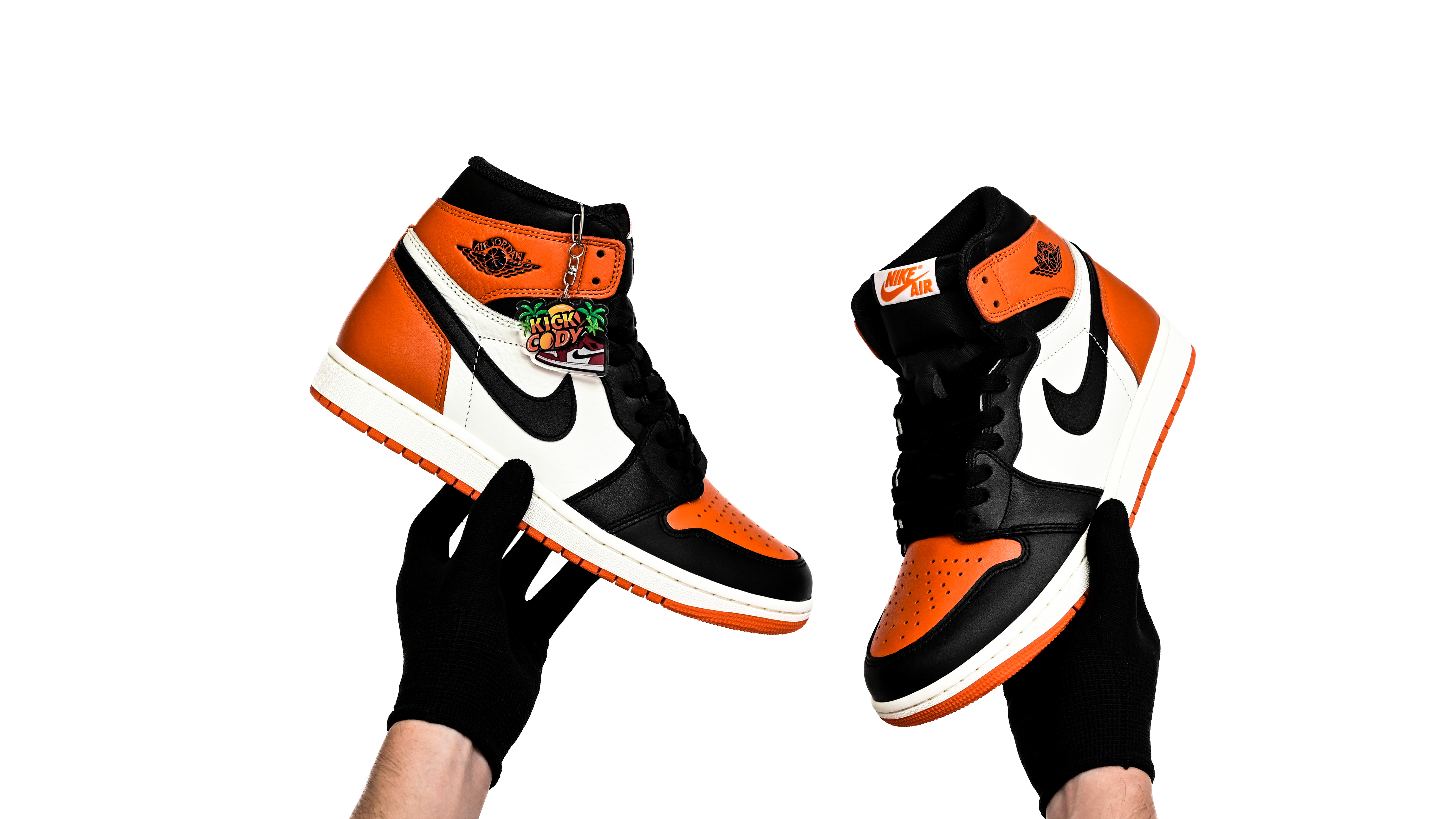Air Jordan 1“Shattered Backboard” DZ5485-008