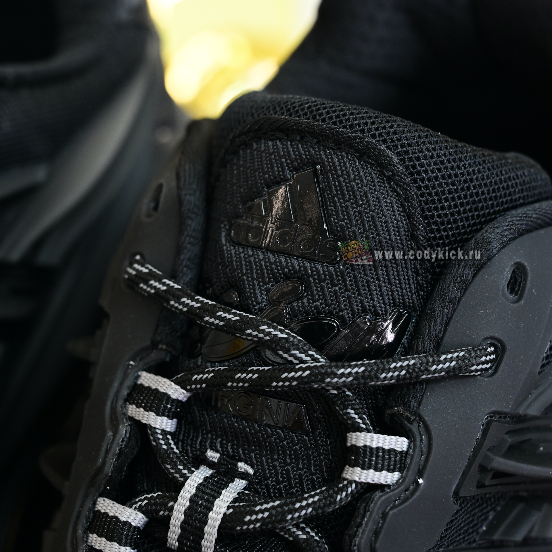 Pharrell x adidas Adistar Jellyhsh JP9260