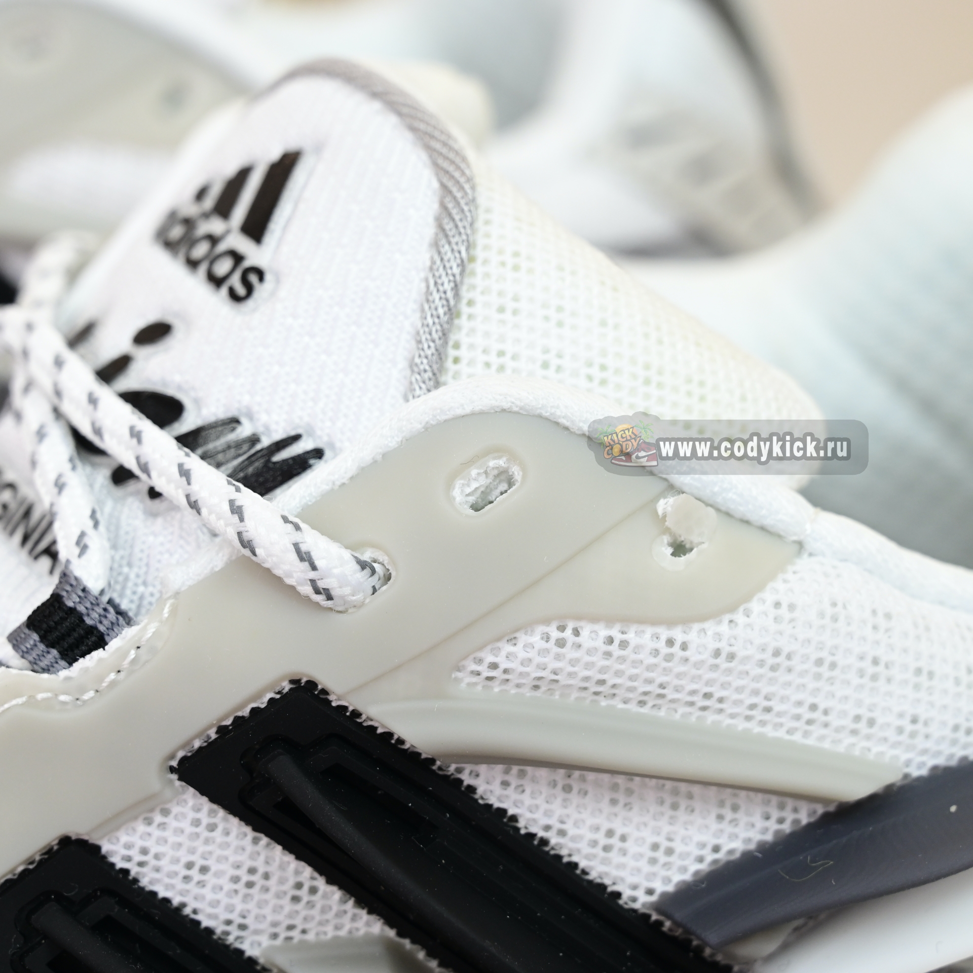 Pharrell x adidas Adistar Jellyhsh  JP9262