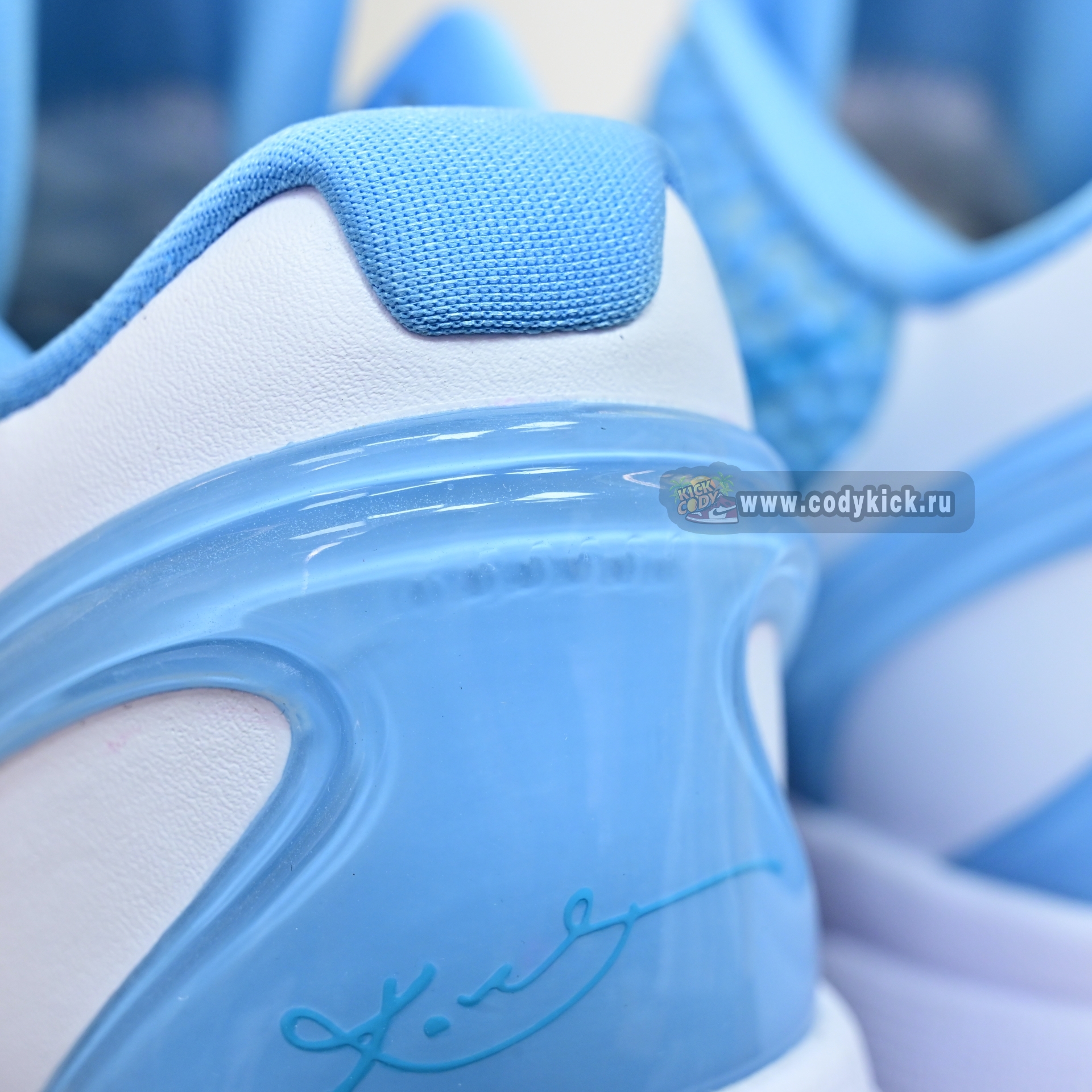 Nike Kobe 6  PE2025-107