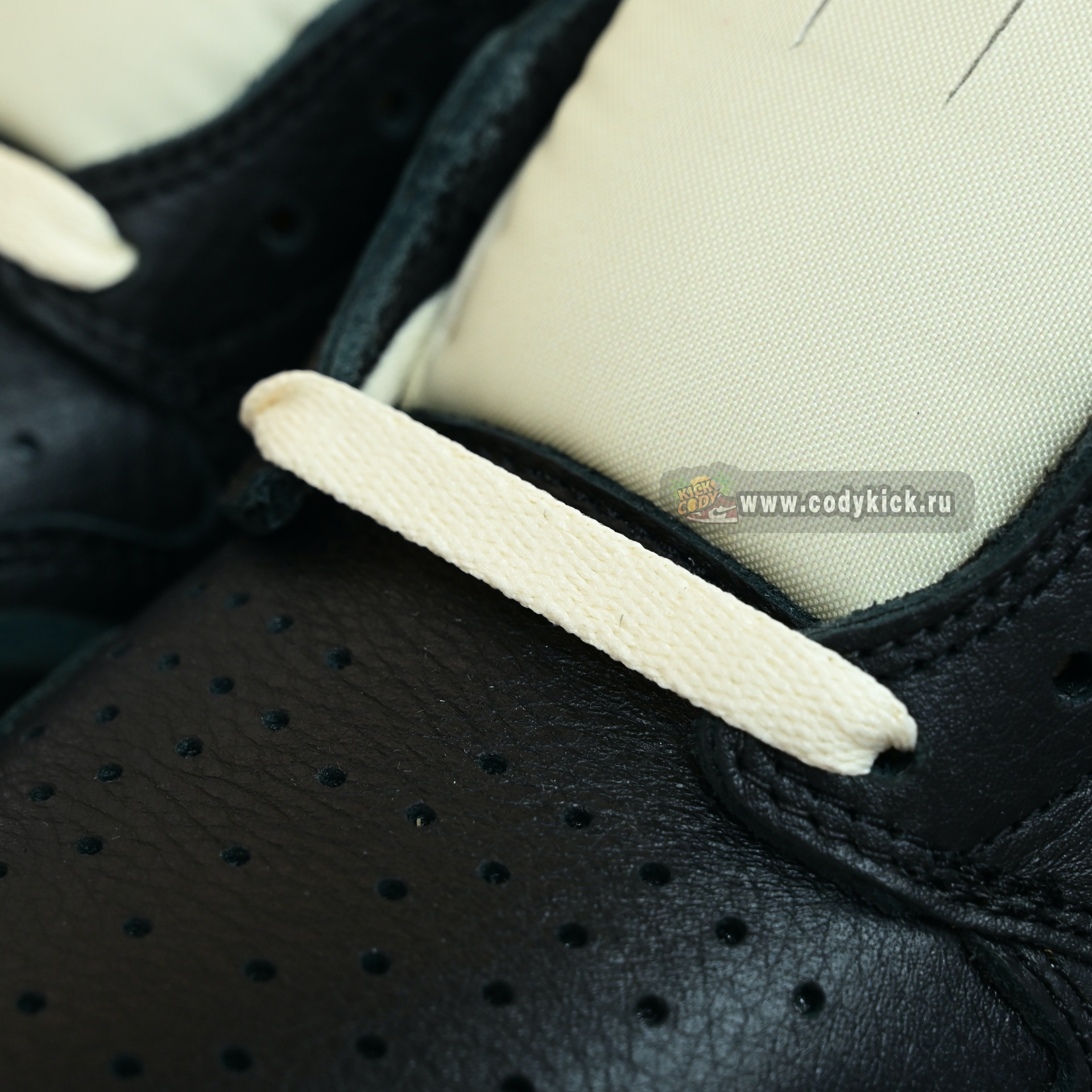 Nigel Sylvester x Air Jordan 1 Low OG Nitro