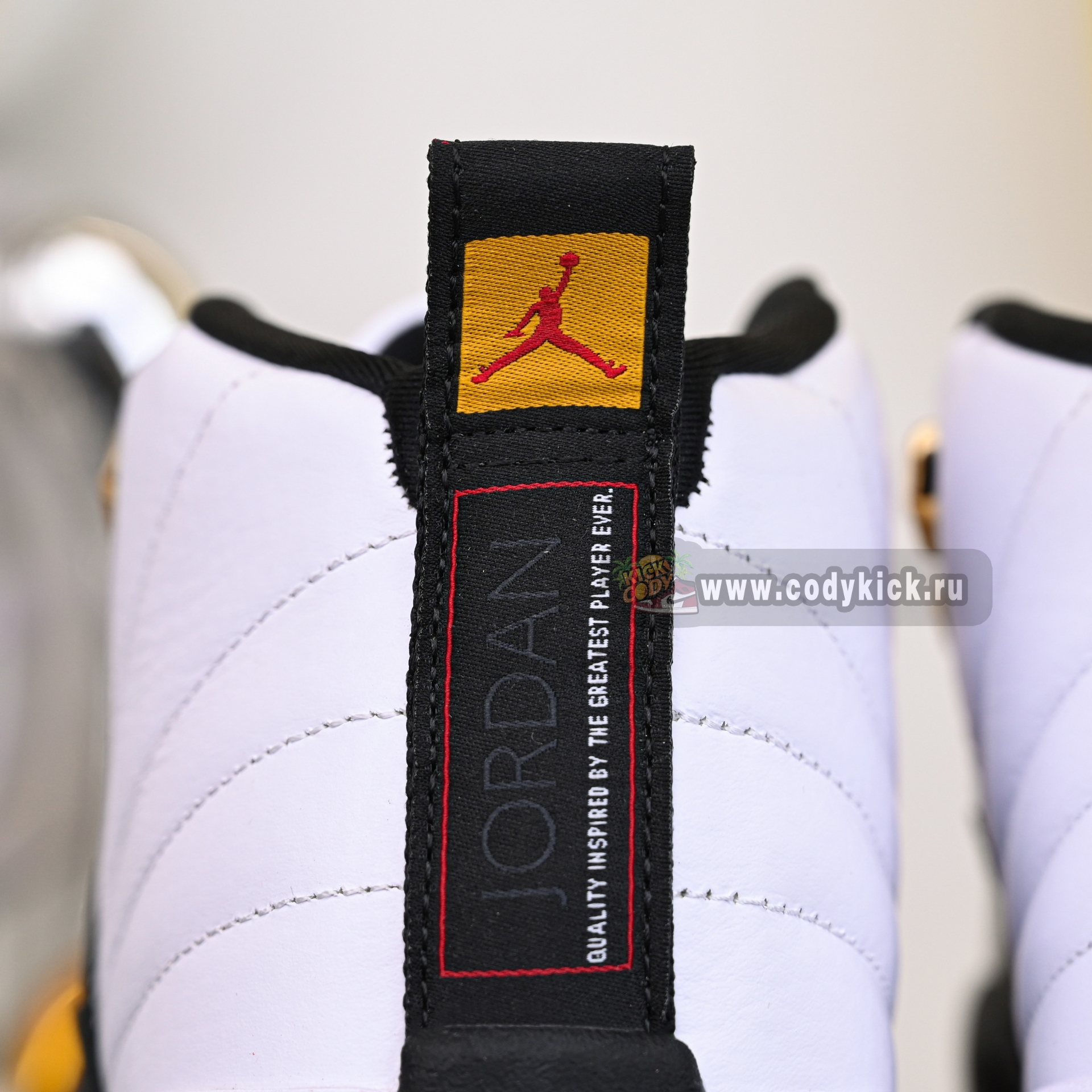 Air Jordan 12“Taxi”History  CT8013-117