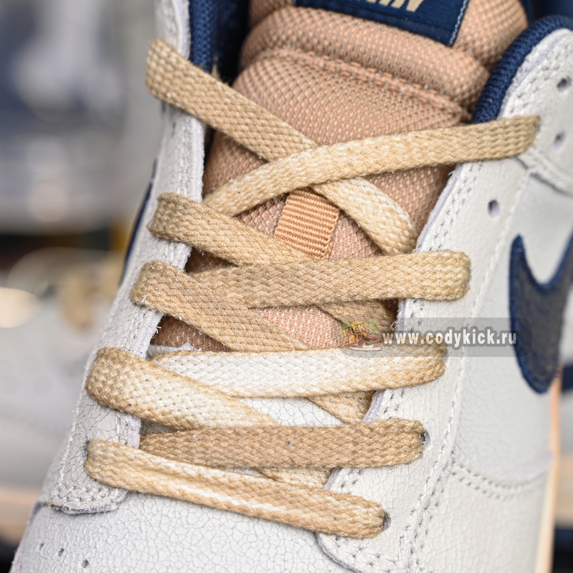 Nike x Stranger Things Dunk LowSP  IH6766-001