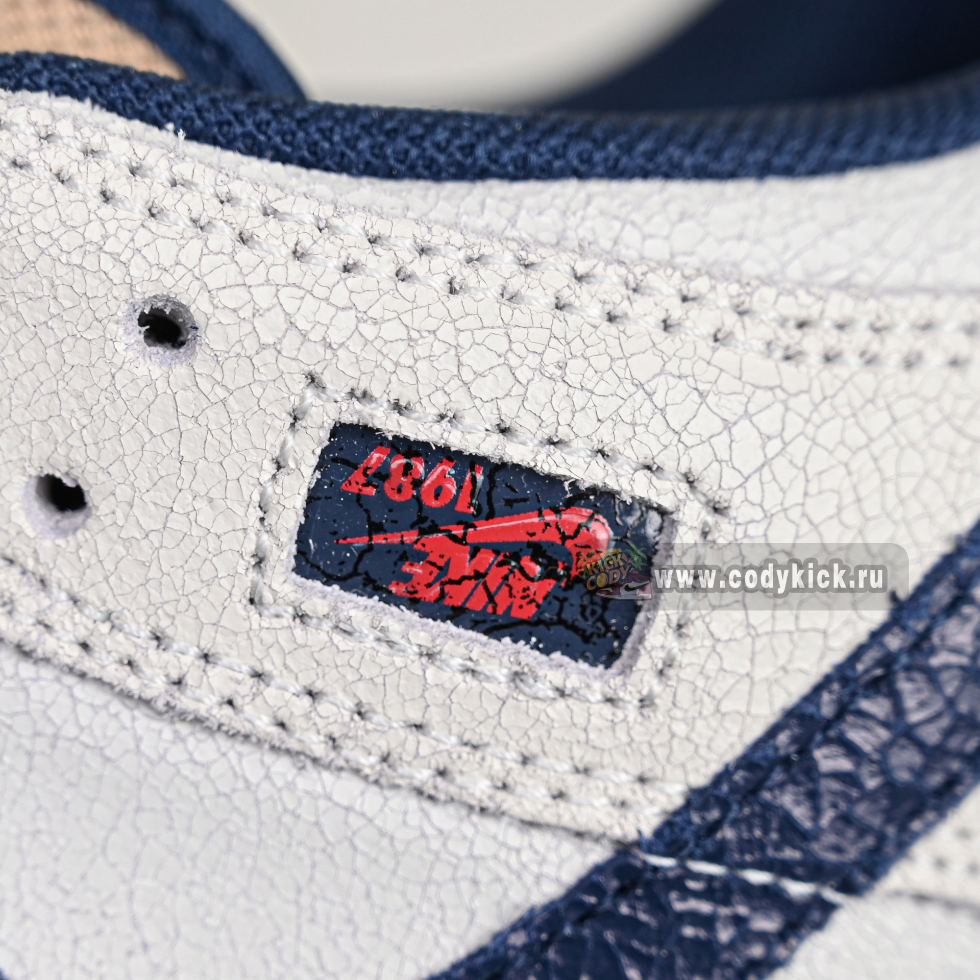 Nike x Stranger Things Dunk LowSP  IH6766-001