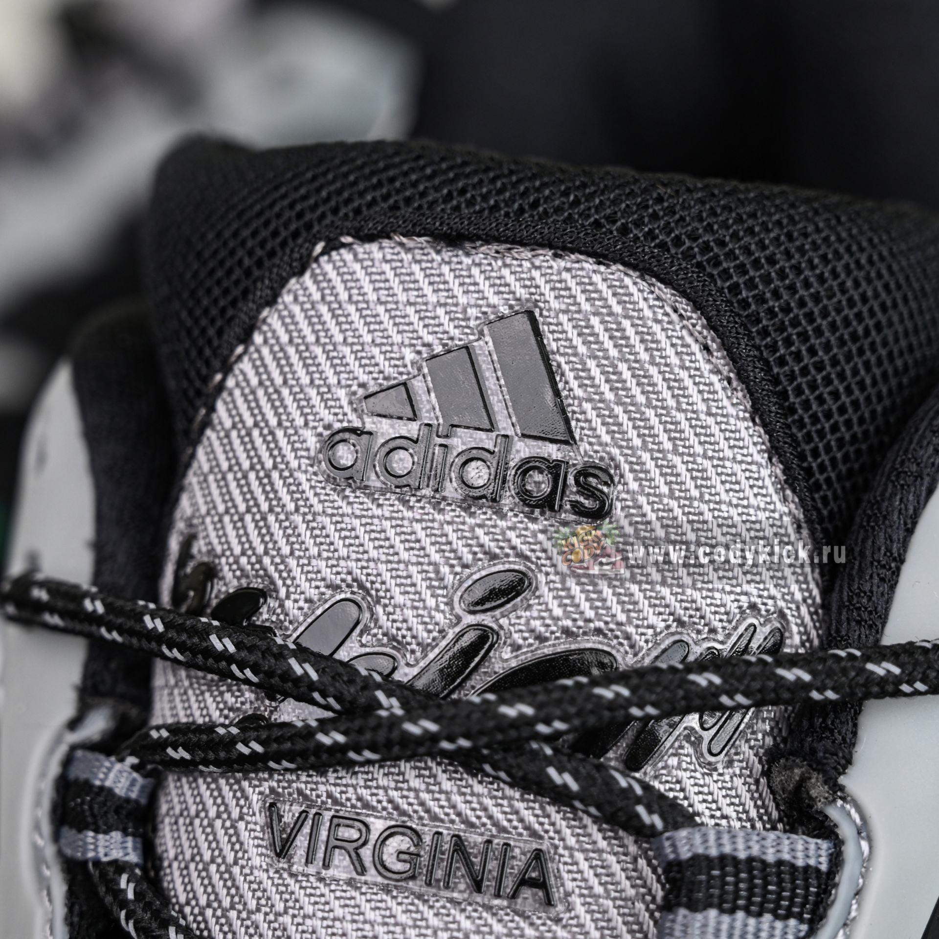 Pharrell x adidas Adistar Jellyhsh JP9276