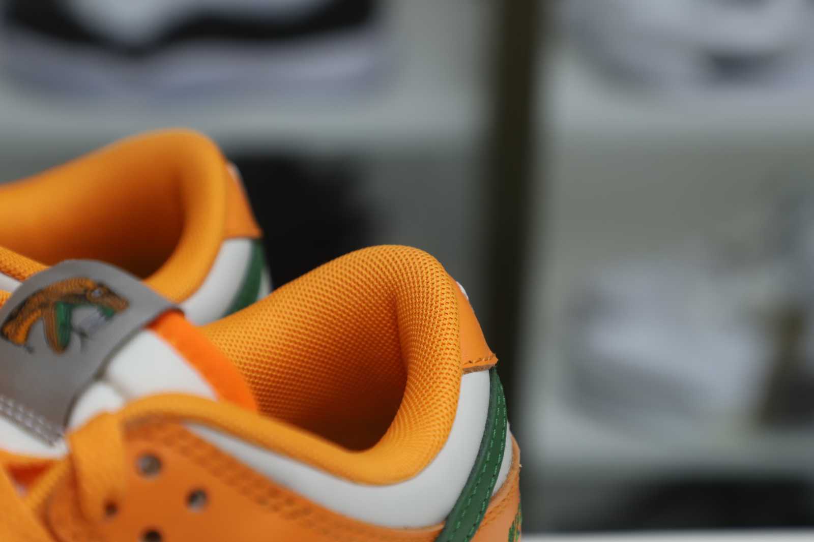 Nike Dunk Low  Florida A&M x