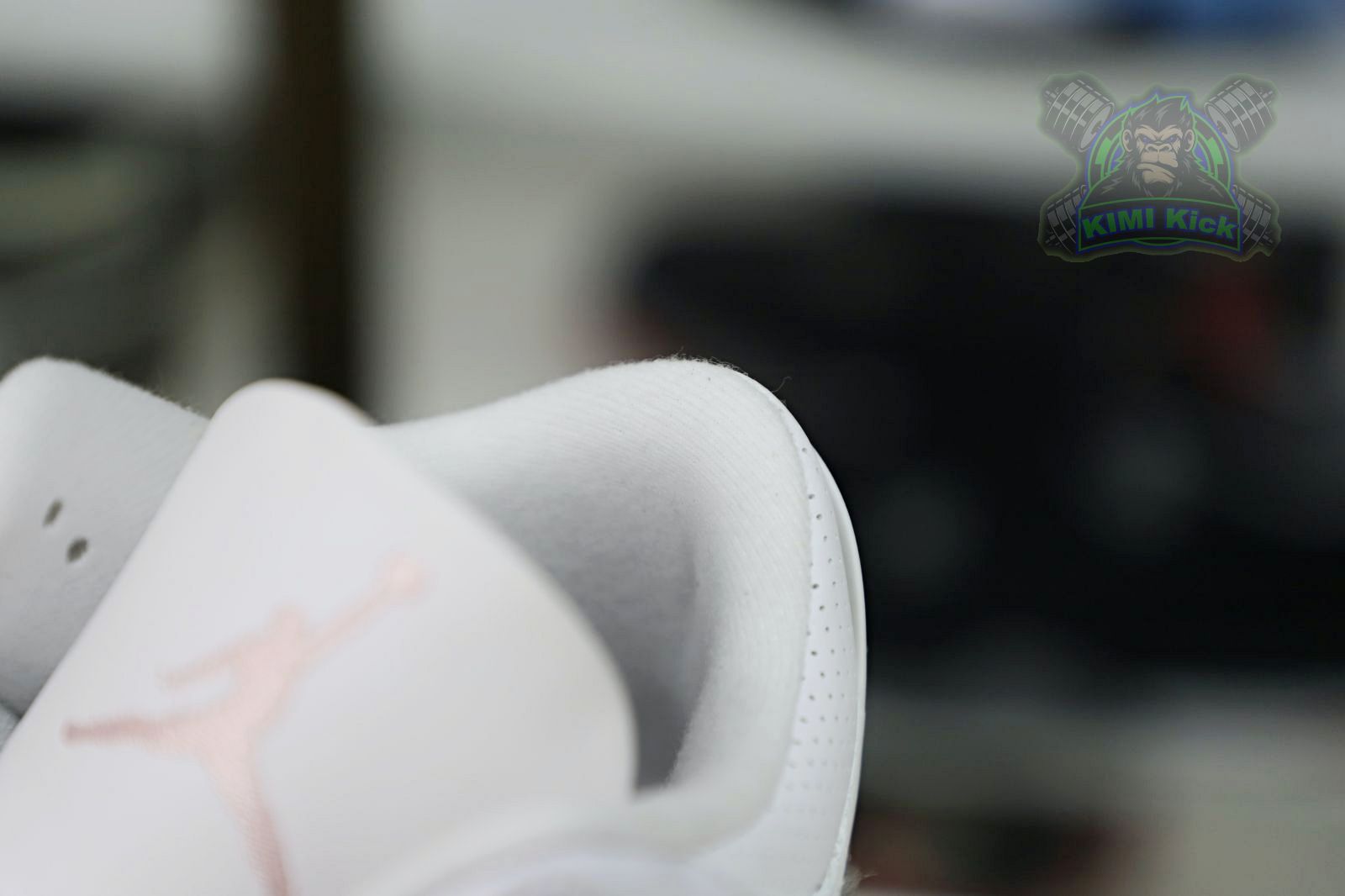 Jordan Air Jordan 3 retro