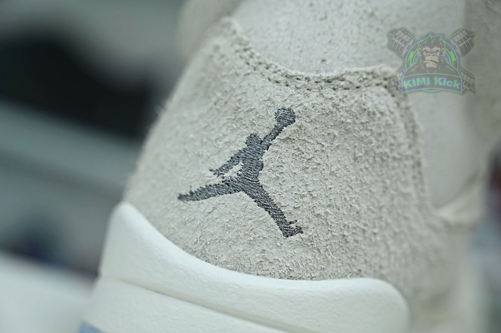 Jordan Air Jordan5 SE