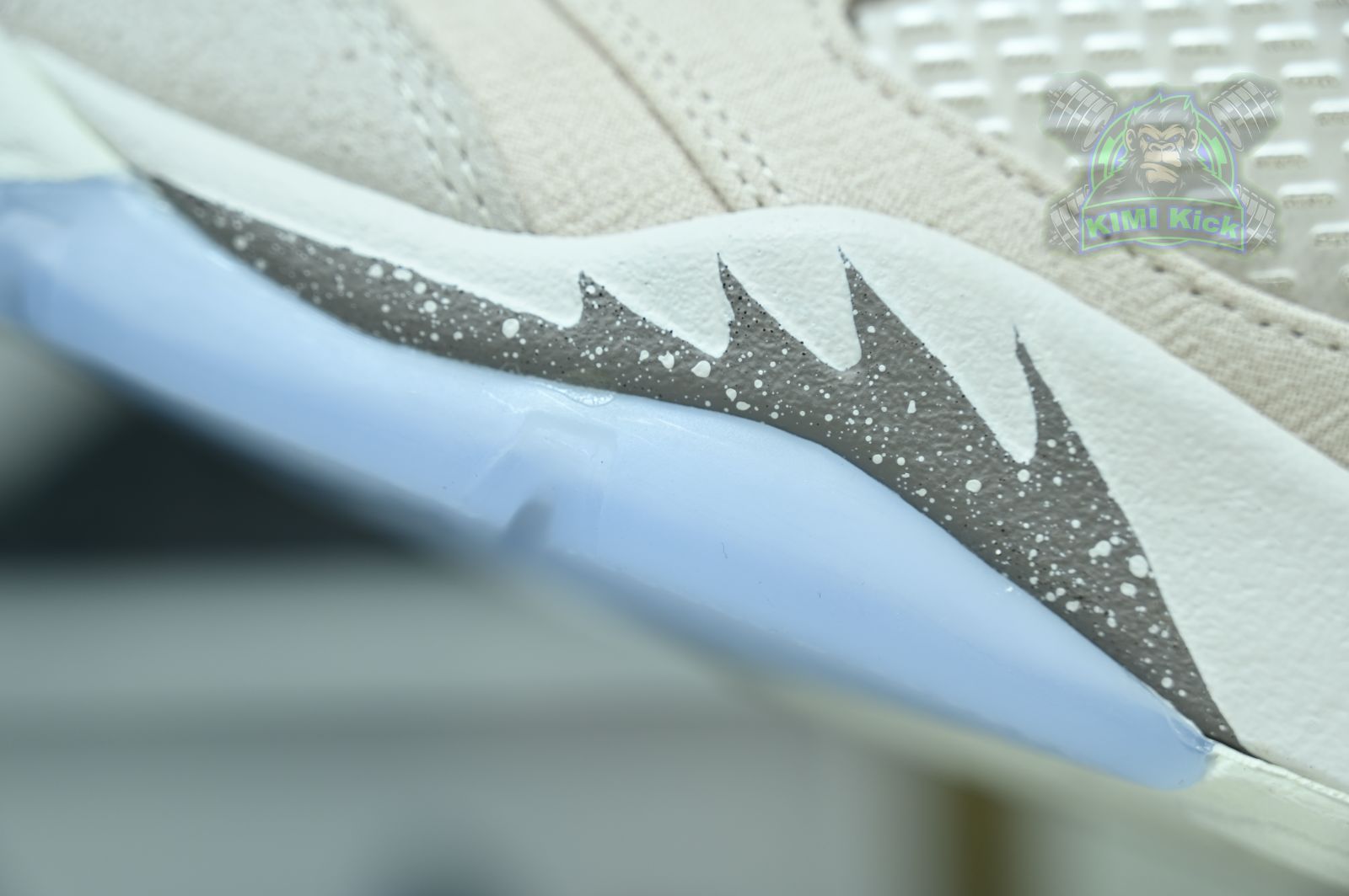 Jordan Air Jordan5 SE