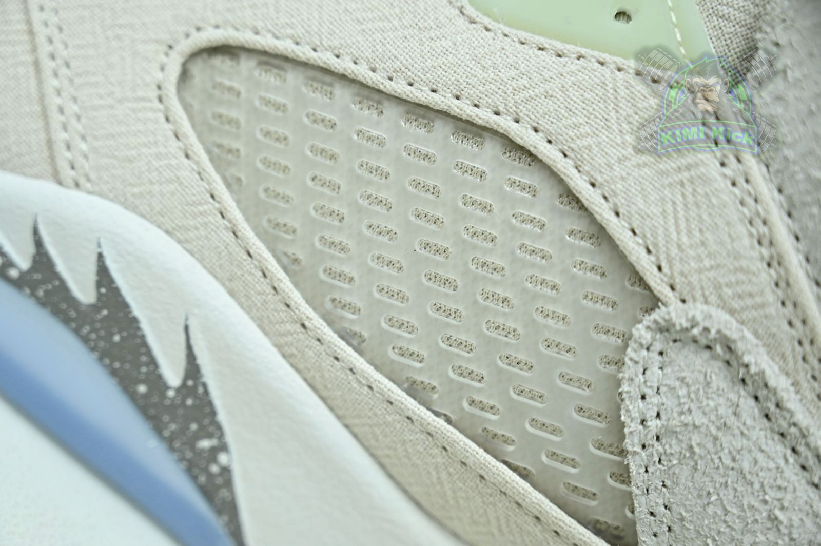 Jordan Air Jordan5 SE