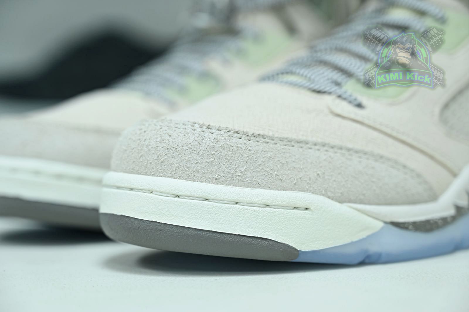 Jordan Air Jordan5 SE