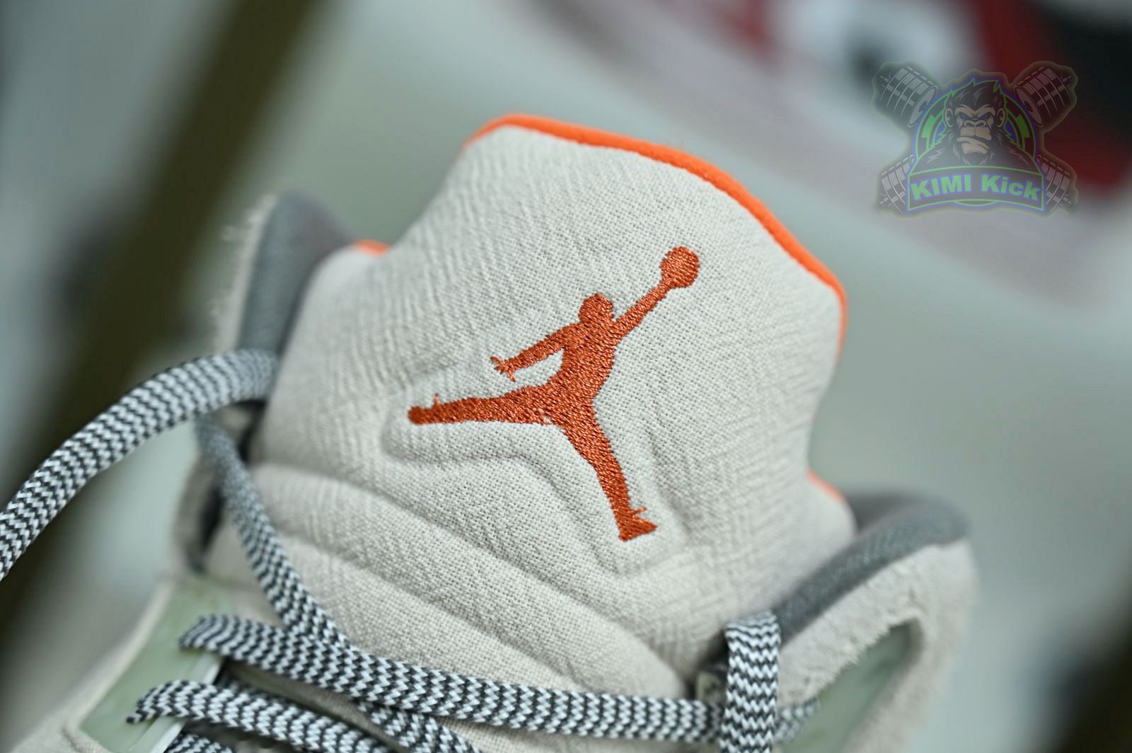 Jordan Air Jordan5 SE