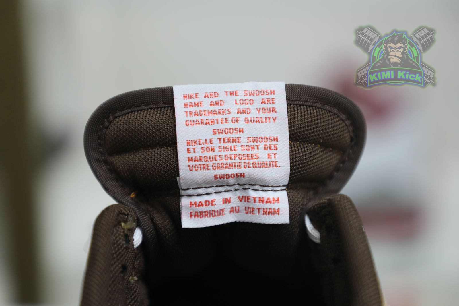 CLOT xNike Dunk LowSP CNGCEL