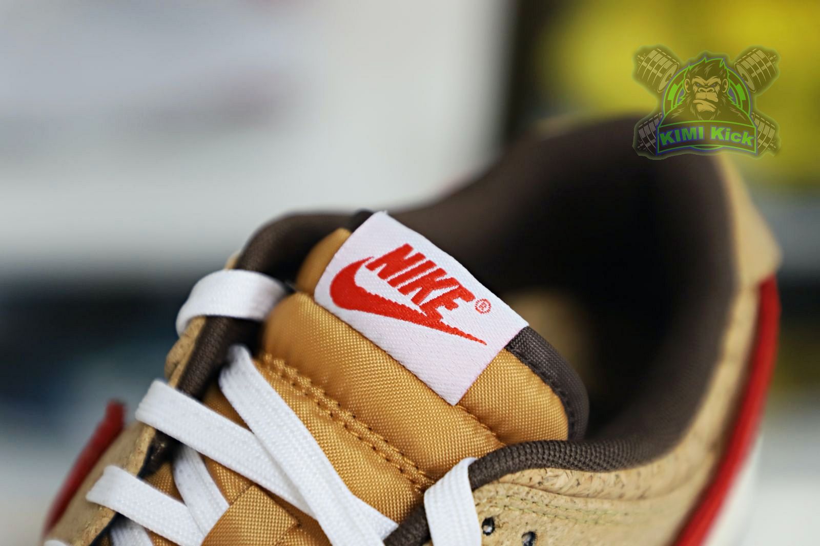 CLOT xNike Dunk LowSP CNGCEL
