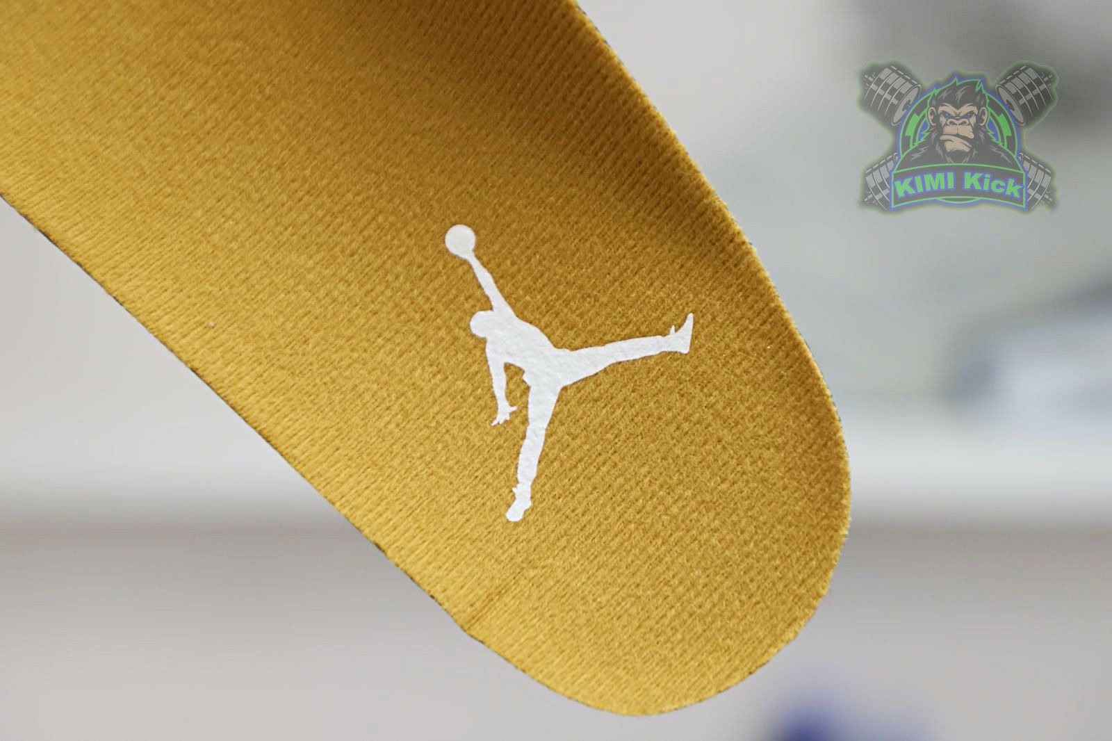 Jordan Air Jordan 13