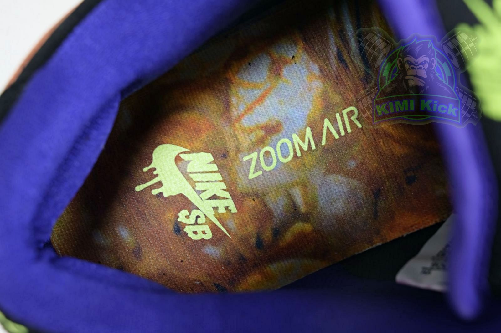 Nike Dunk SB Low SB Pro 