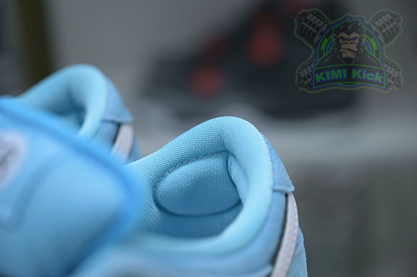 Nike Dunk SB Low Pro 