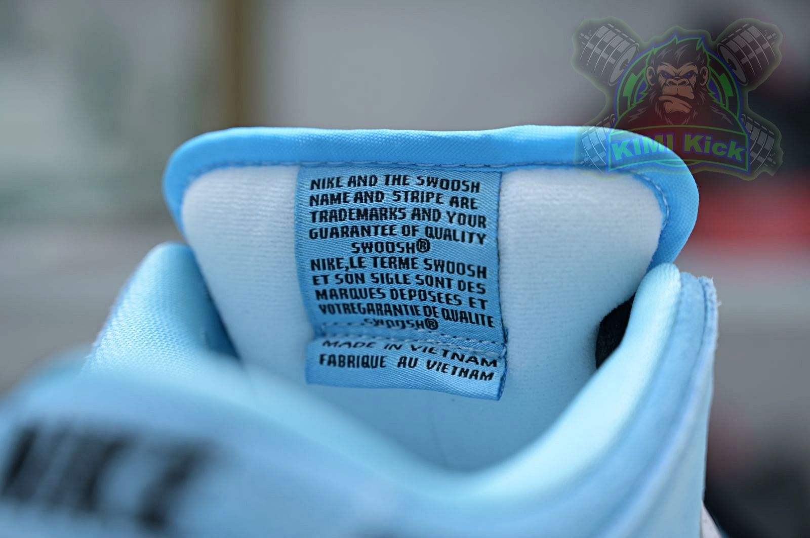 Nike Dunk SB Low Pro 