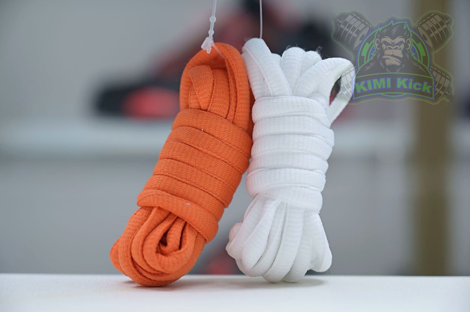 Nike Dunk SB Low Pro 