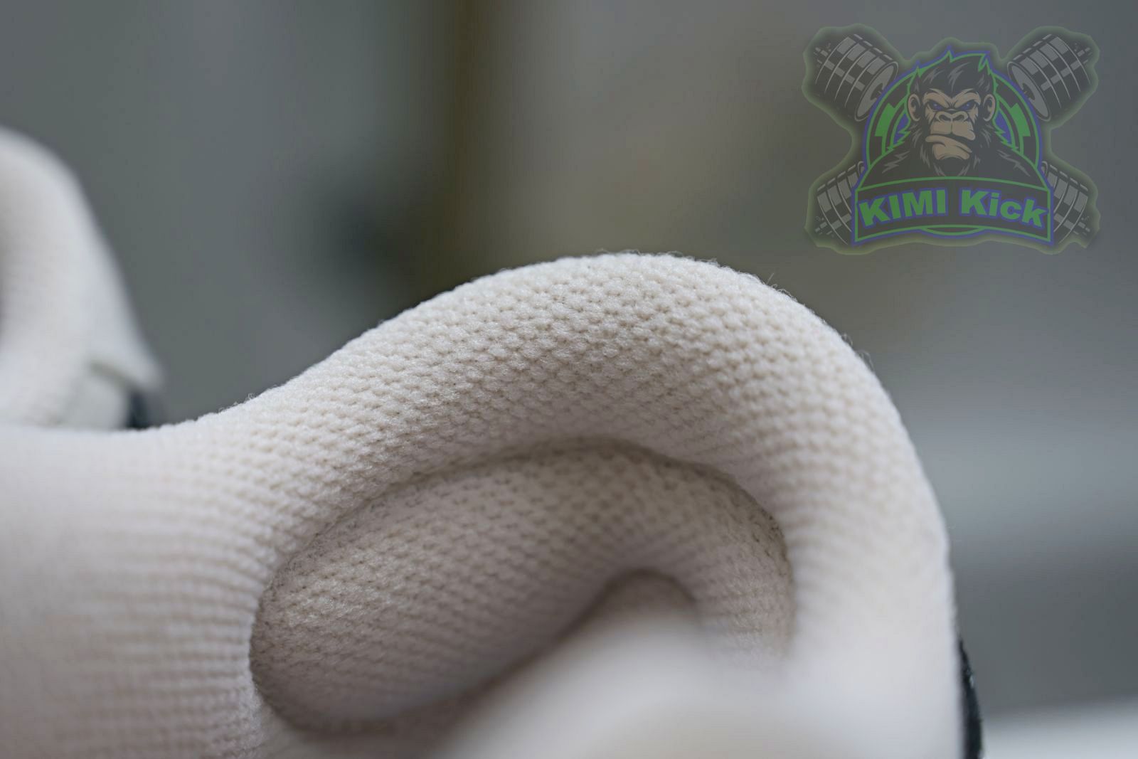 Albino & Preto x Nike Dunk SB Low Pro 