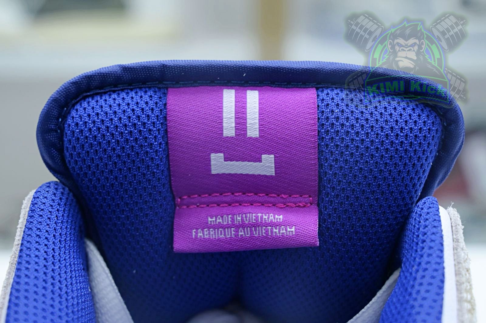 Rayssa Leal x Nike SB Dunk Low