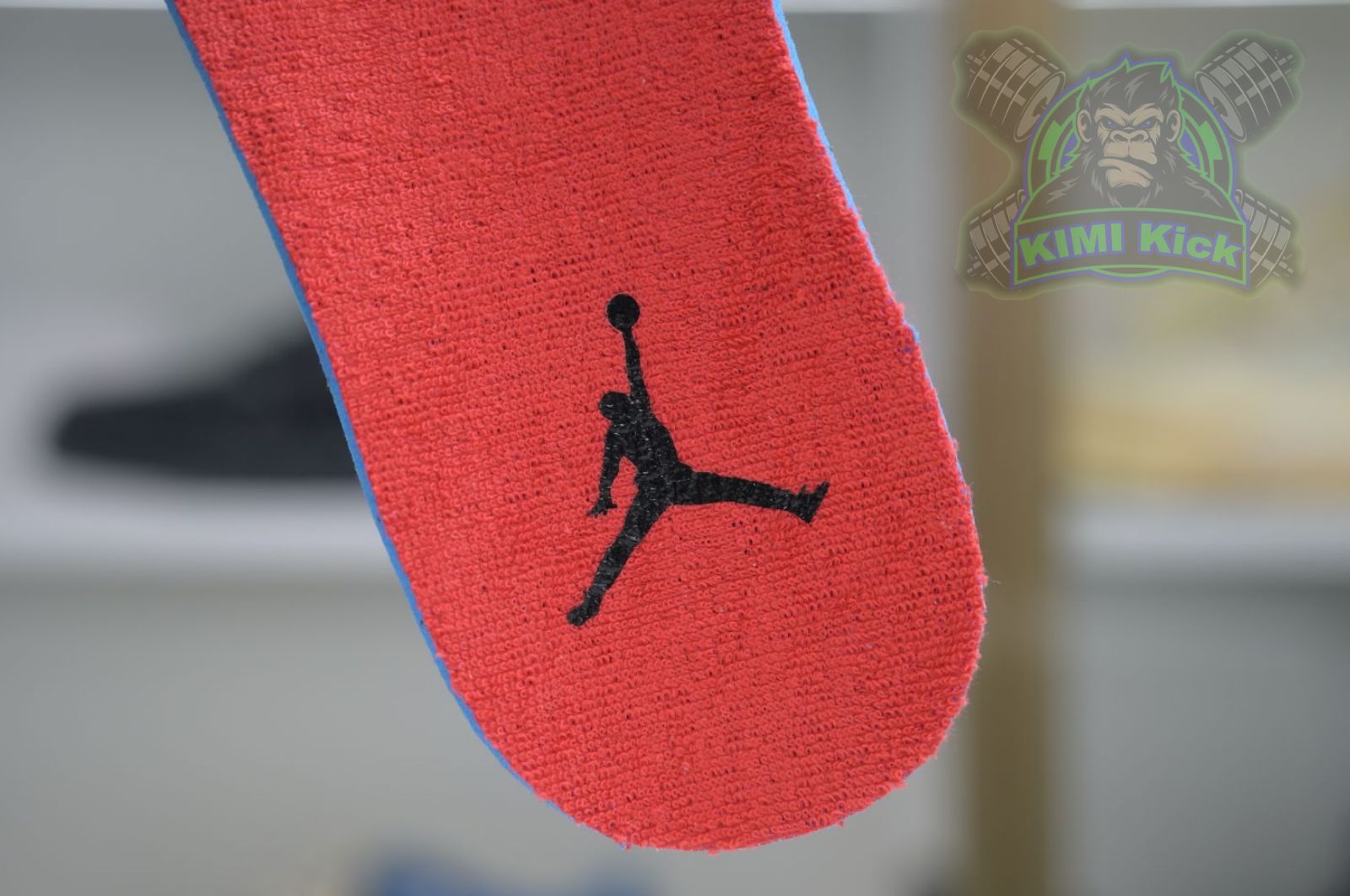 Jordan Air Jordan 4 retro raptors nrg （2018）