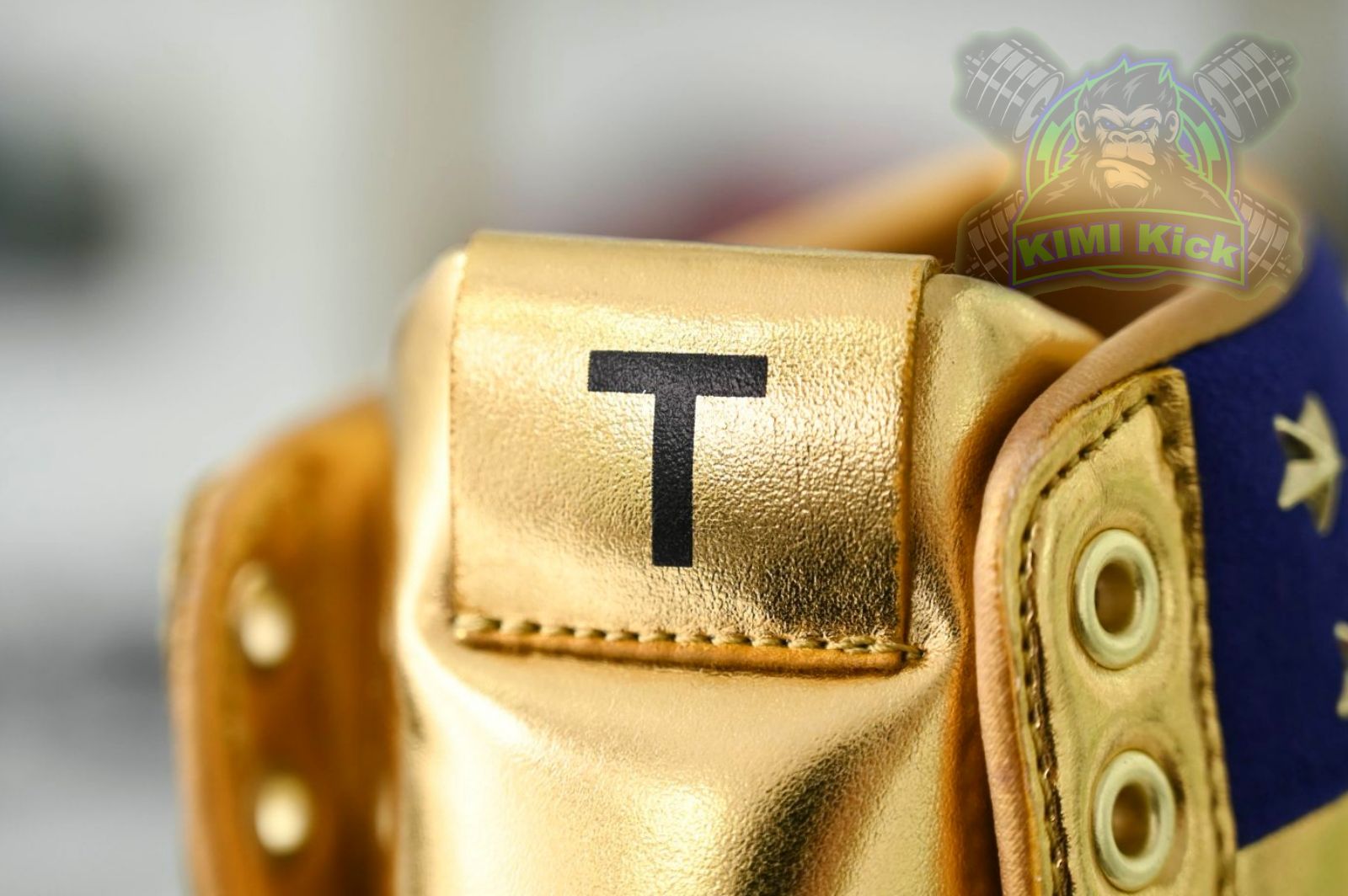 Never Surrender Trump sneakers MAGA.1