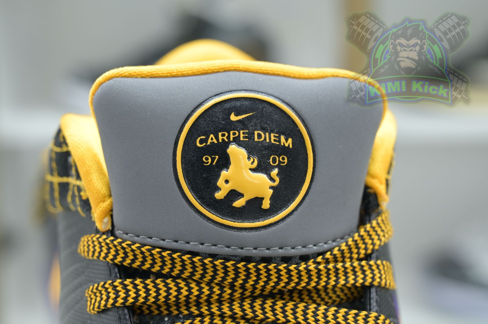 Nike Zoom Kobe 4 Protro Carpe Diem